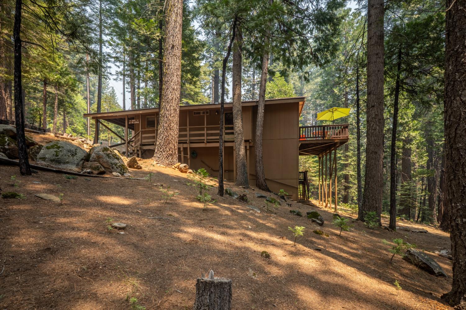 3046 Tahos Drive