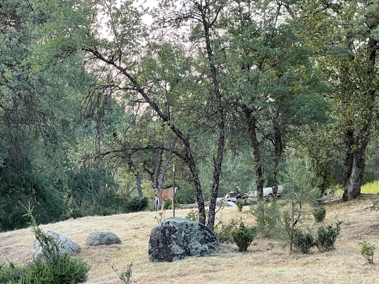 22499 Vilas Lane