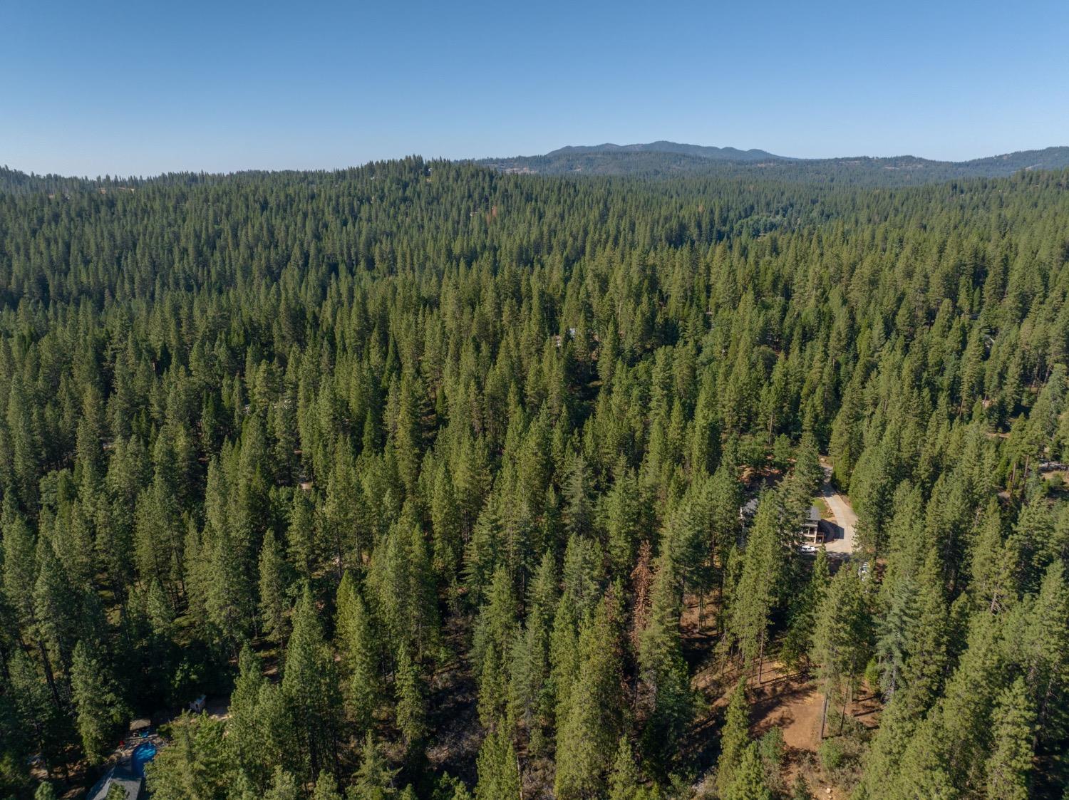 3003 Black Bear Drive