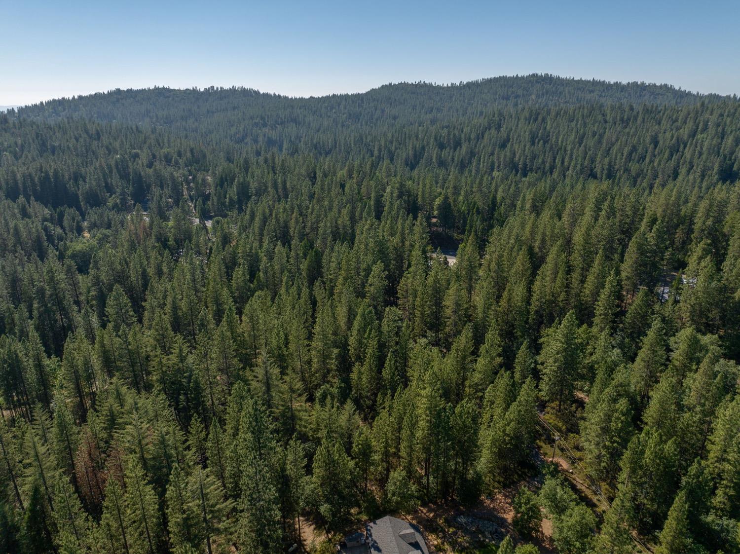 3003 Black Bear Drive