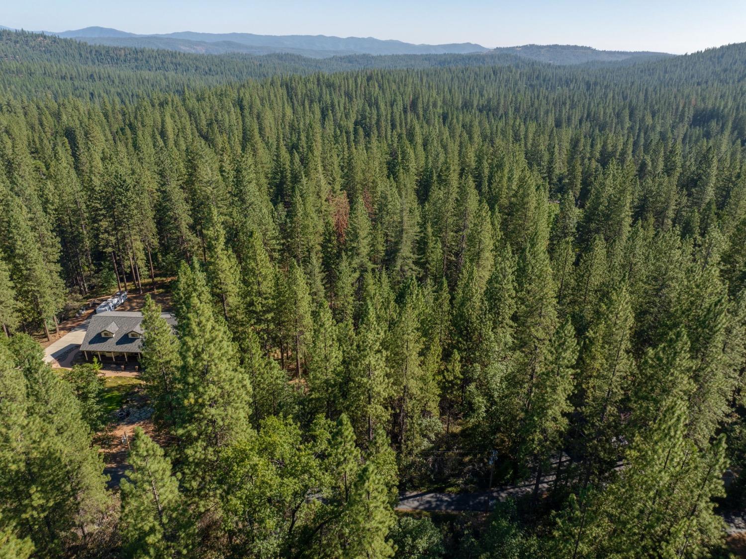 3003 Black Bear Drive