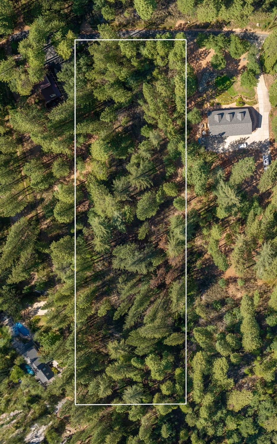3003 Black Bear Drive