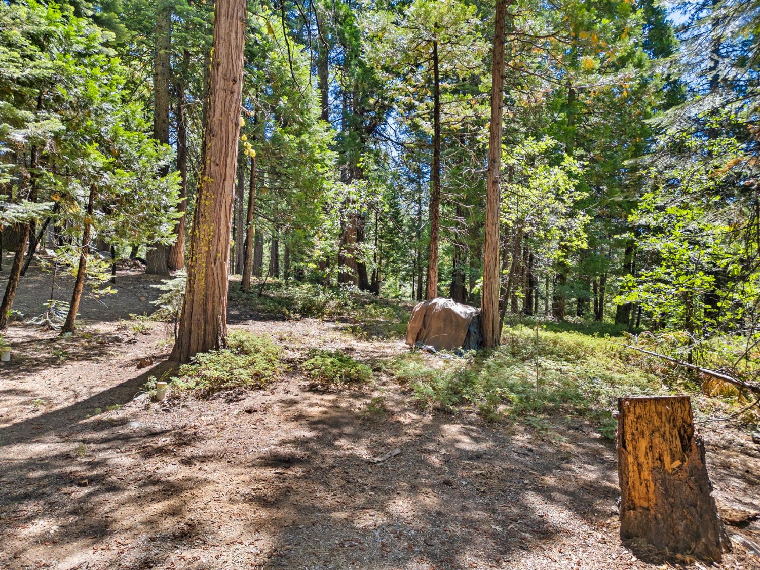 1544 Topanga Lane