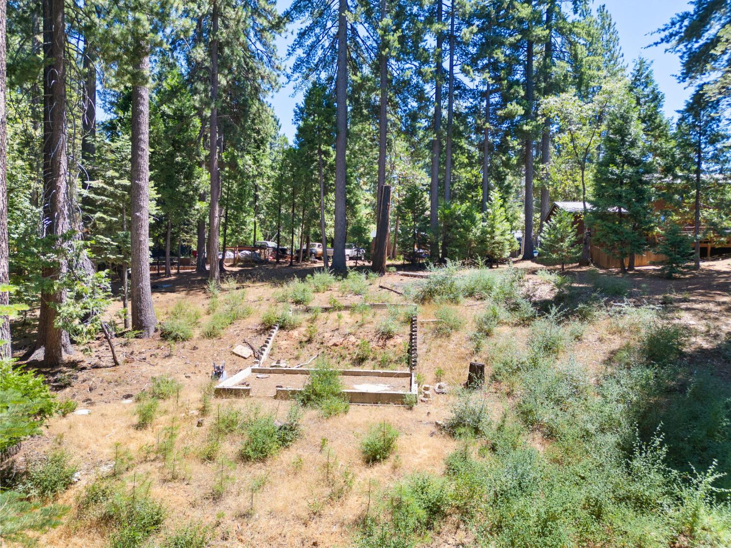 1704 Boro Court