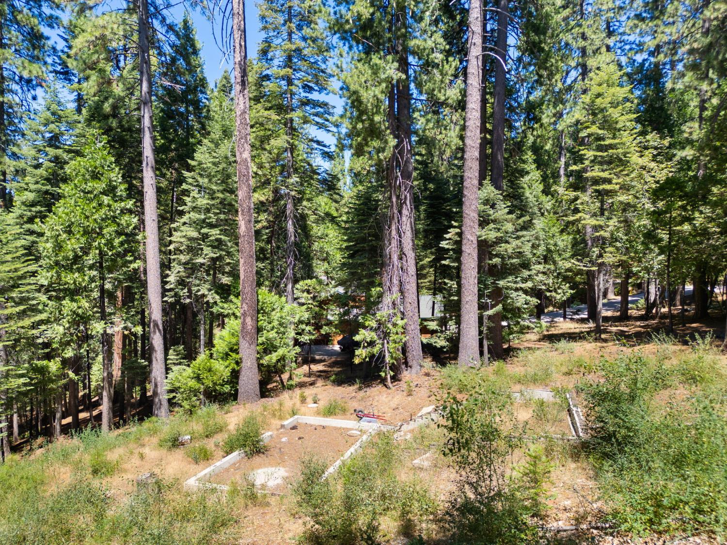 1704 Boro Court