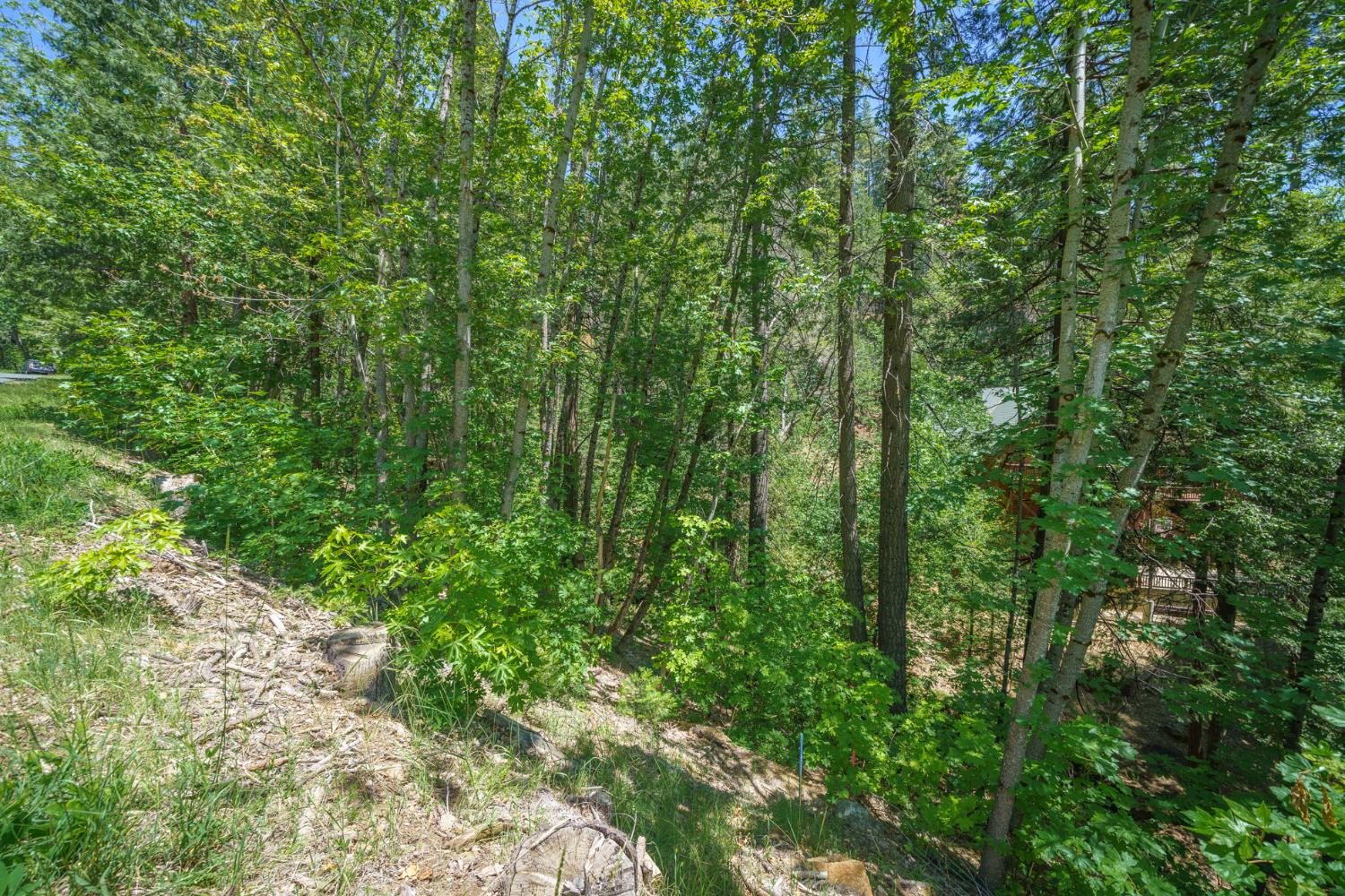 1172 Spring Valley Way
