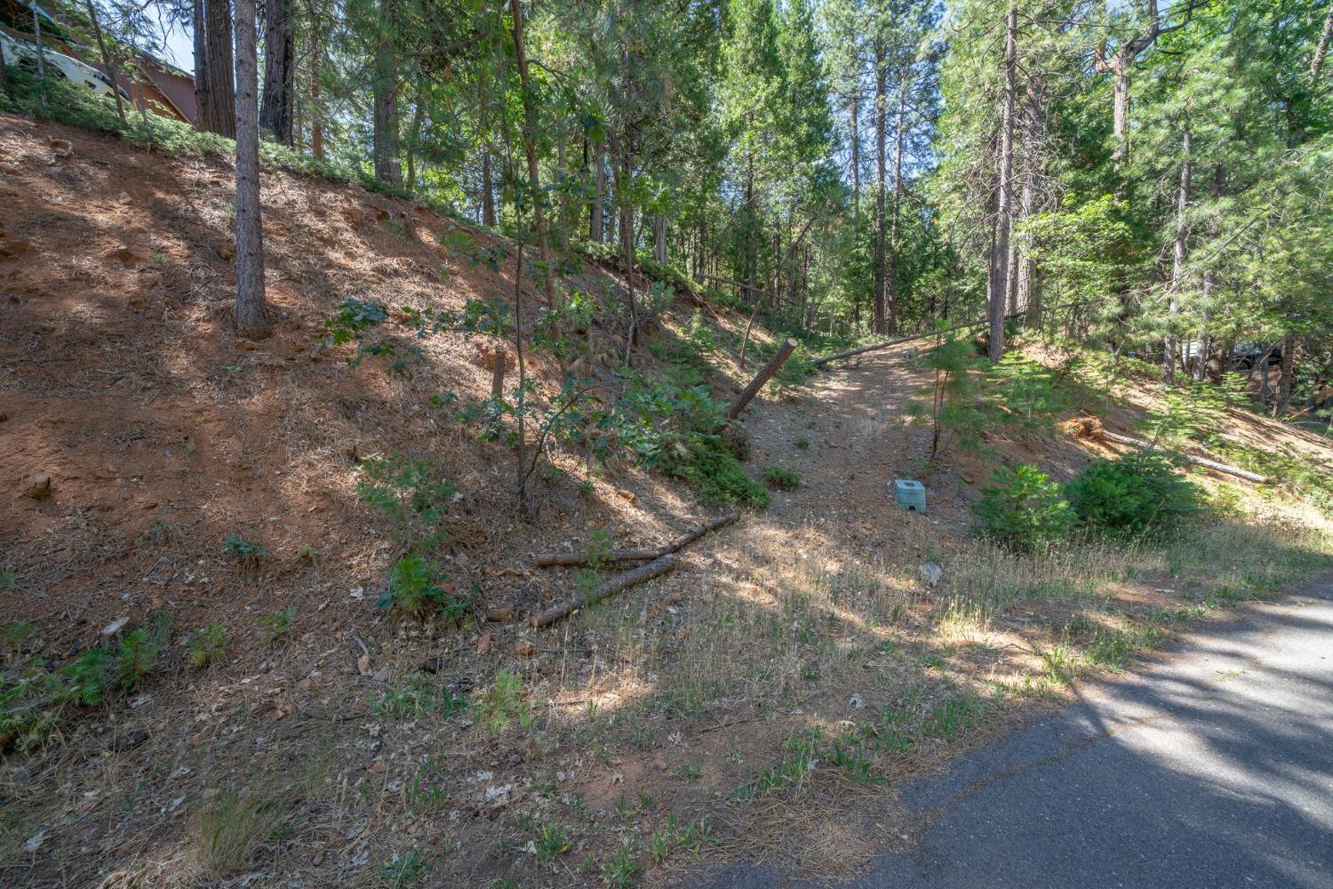 2595 Chamonix Road