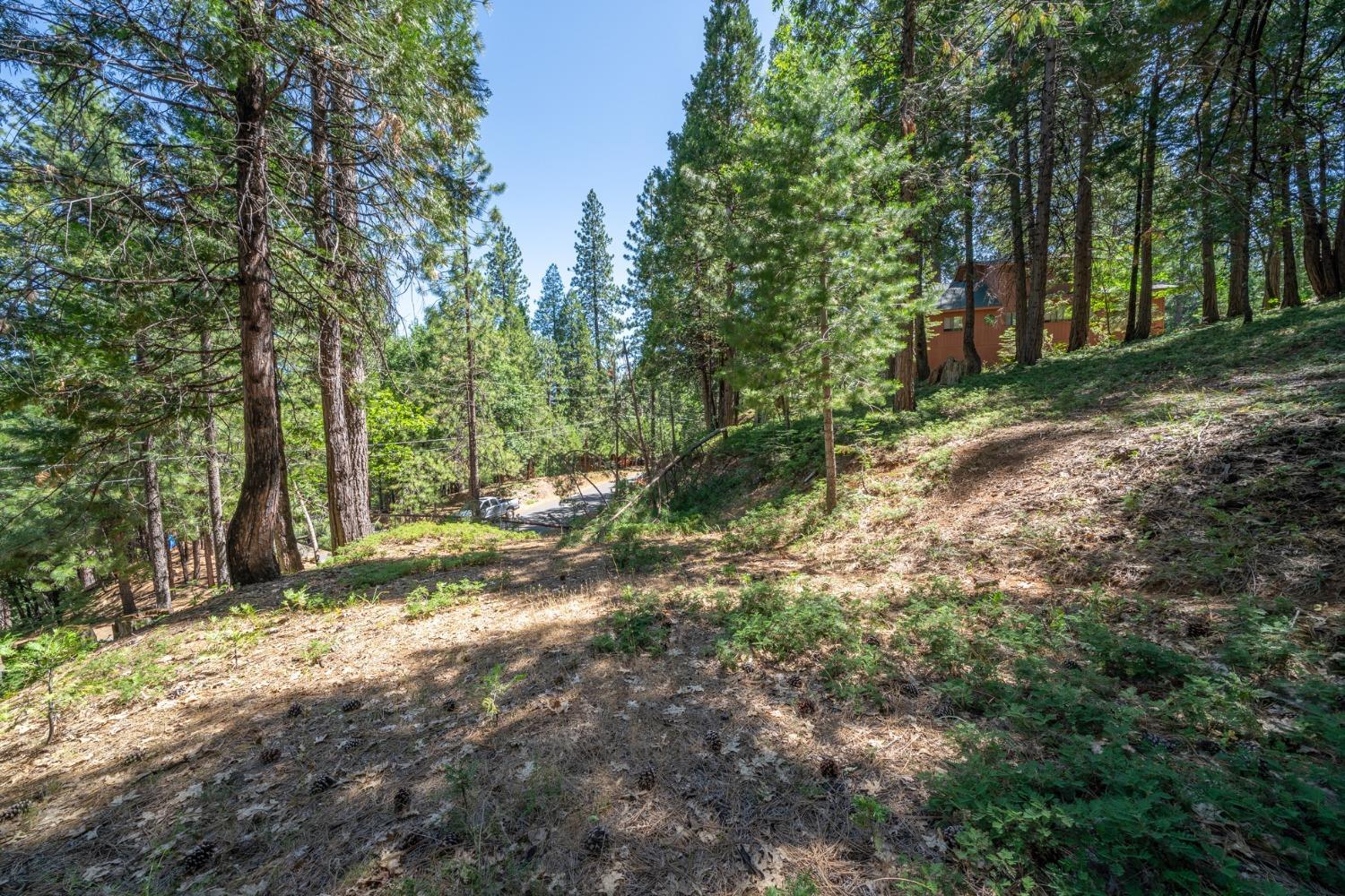 2595 Chamonix Road