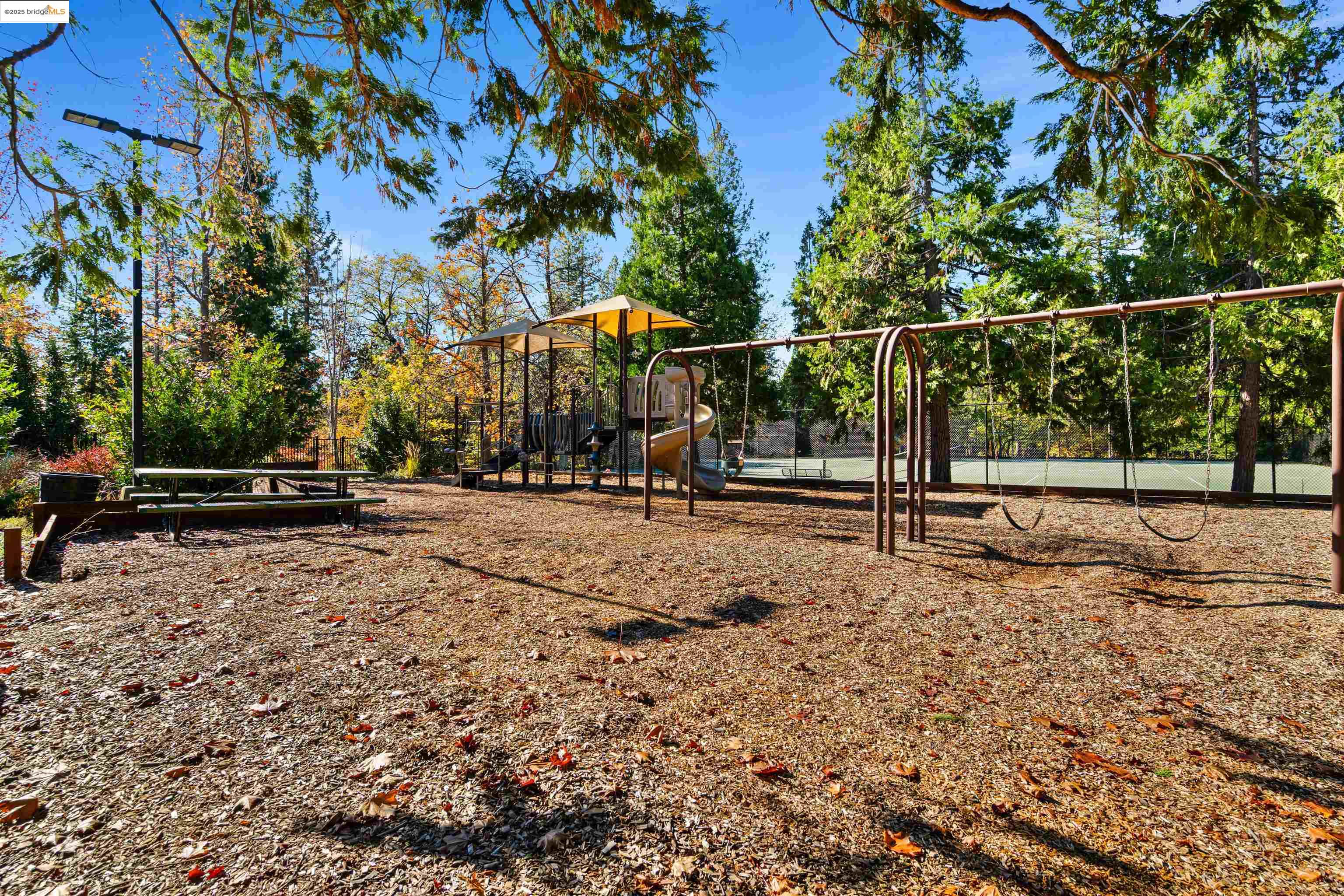 208 Snowberry