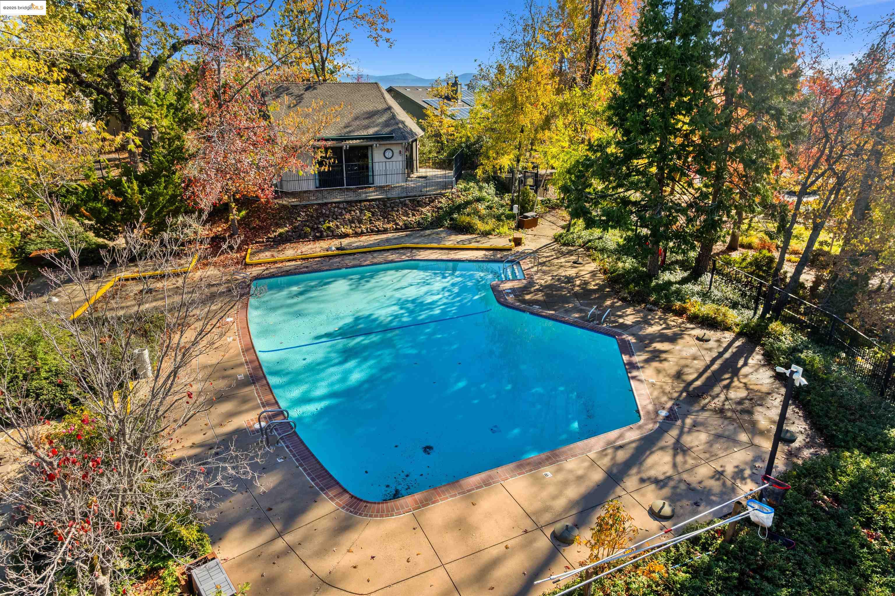 208 Snowberry