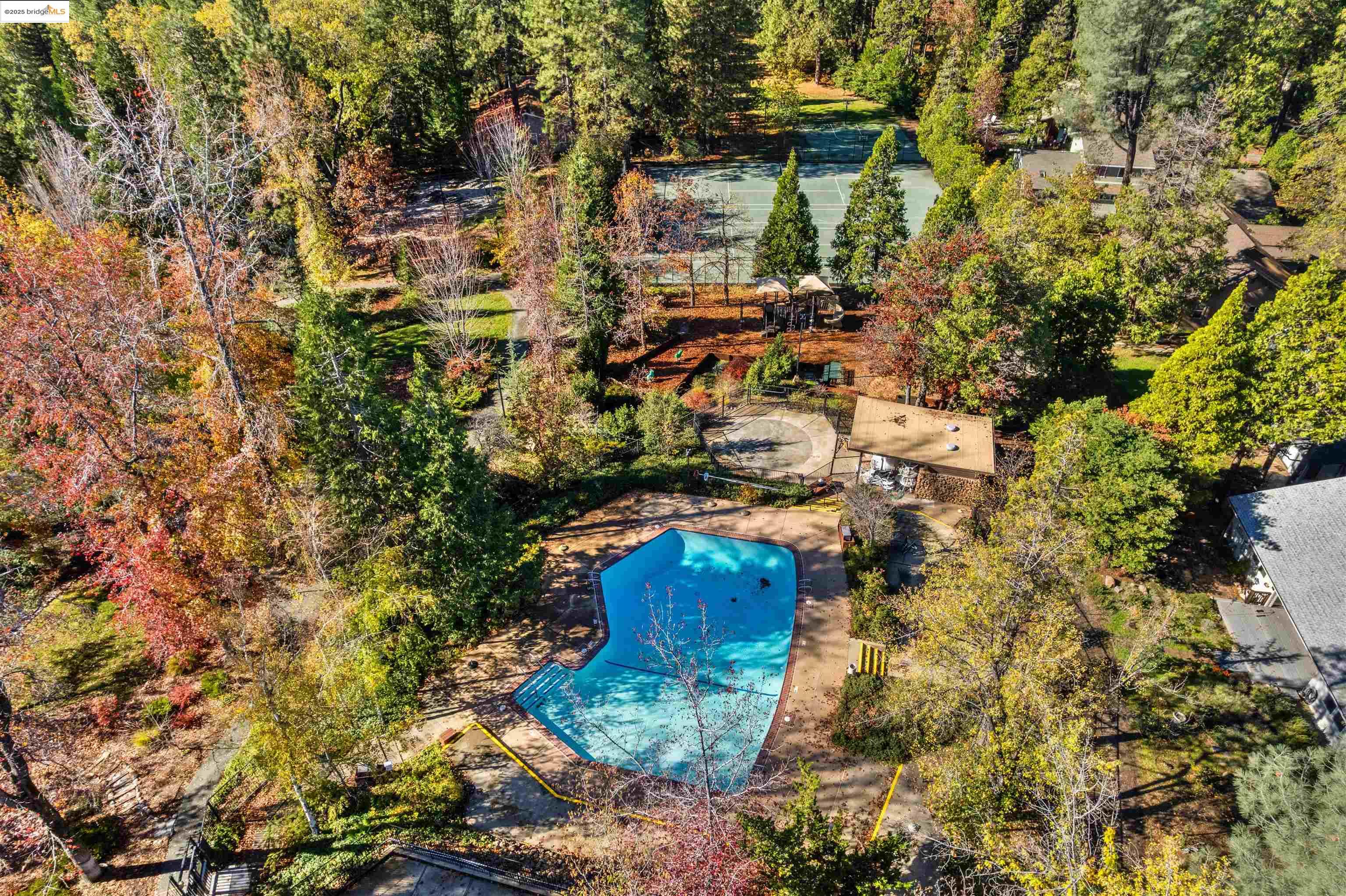 208 Snowberry