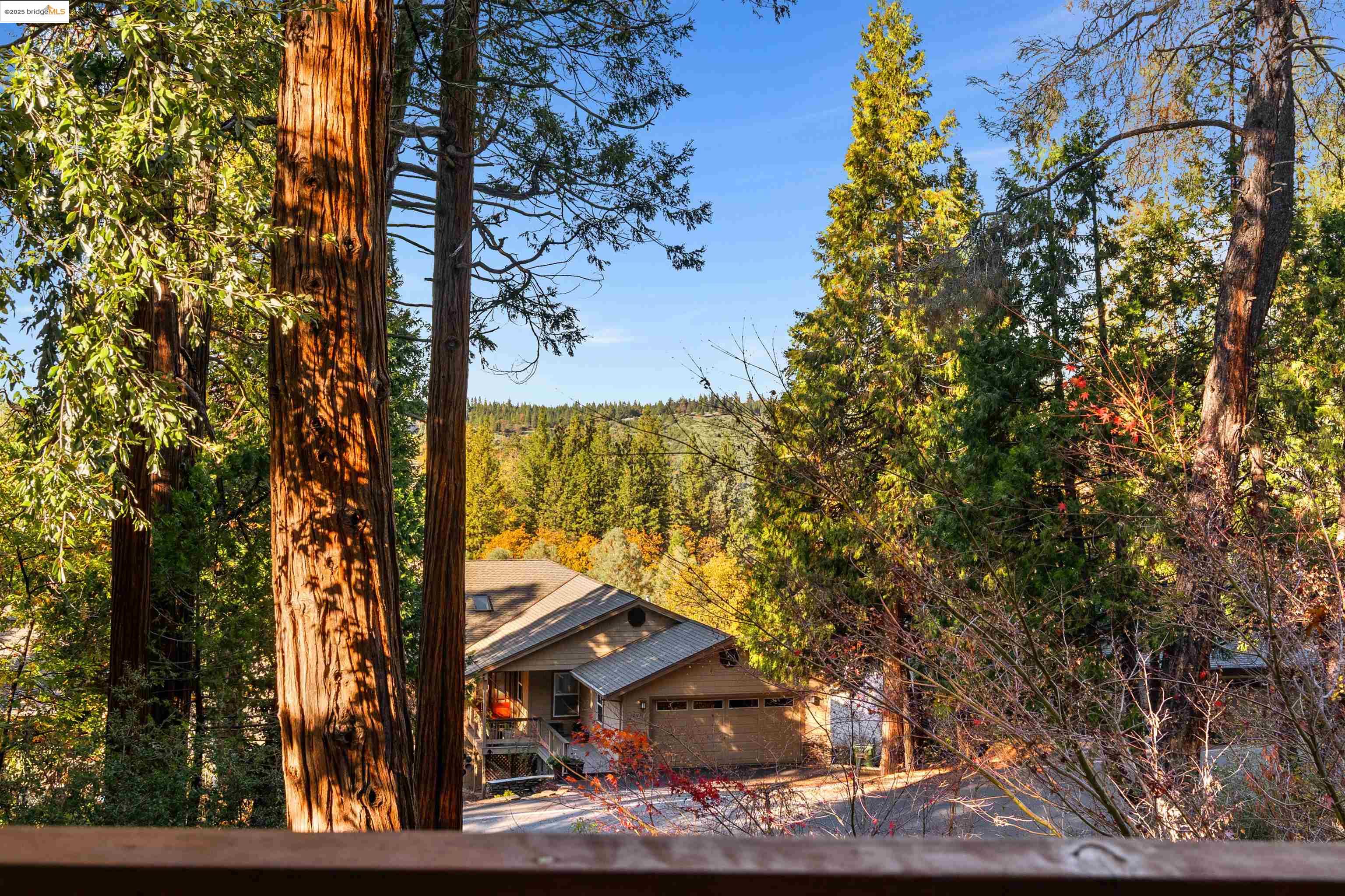 208 Snowberry
