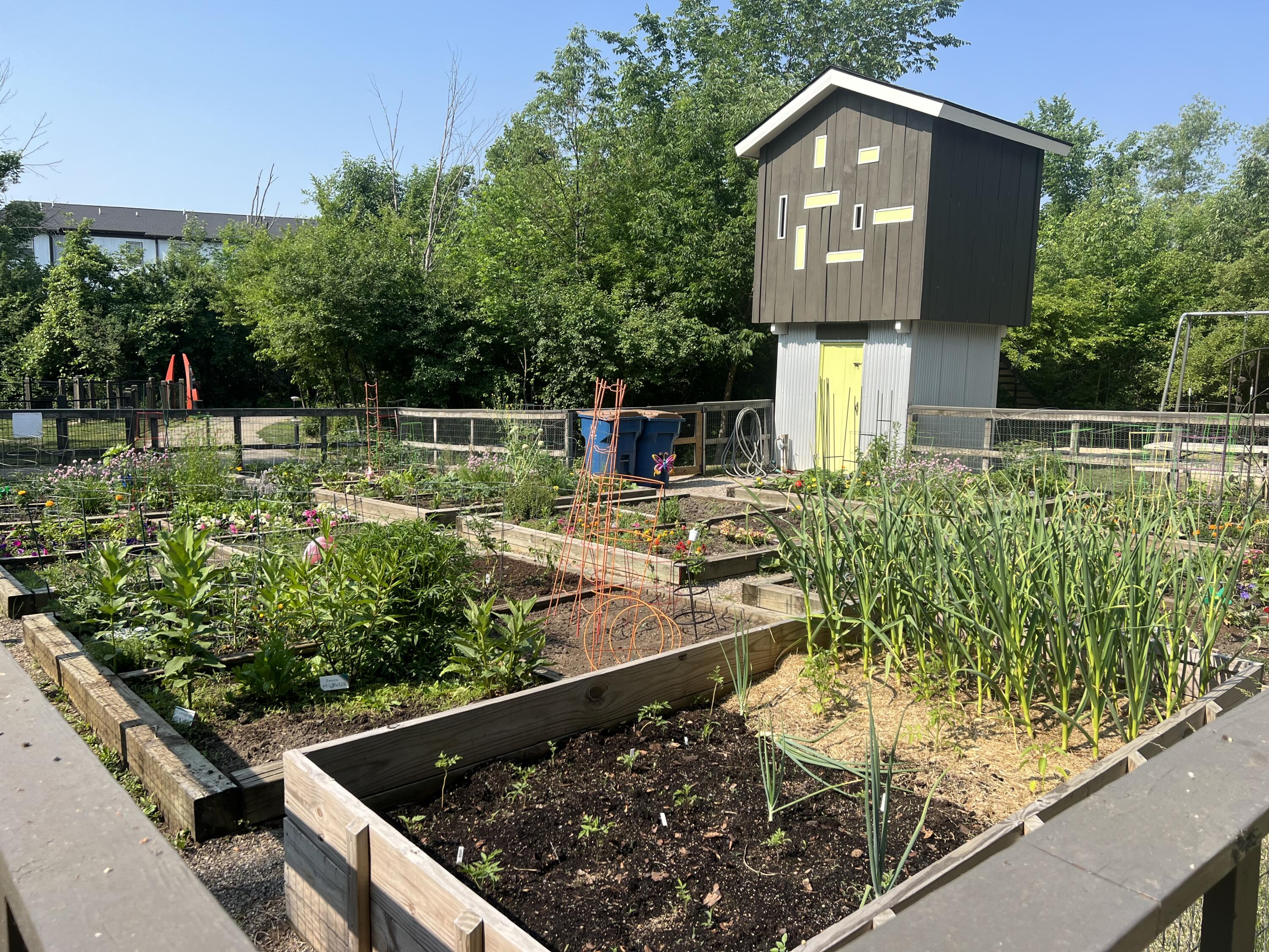 2082 Celadon Drive NE