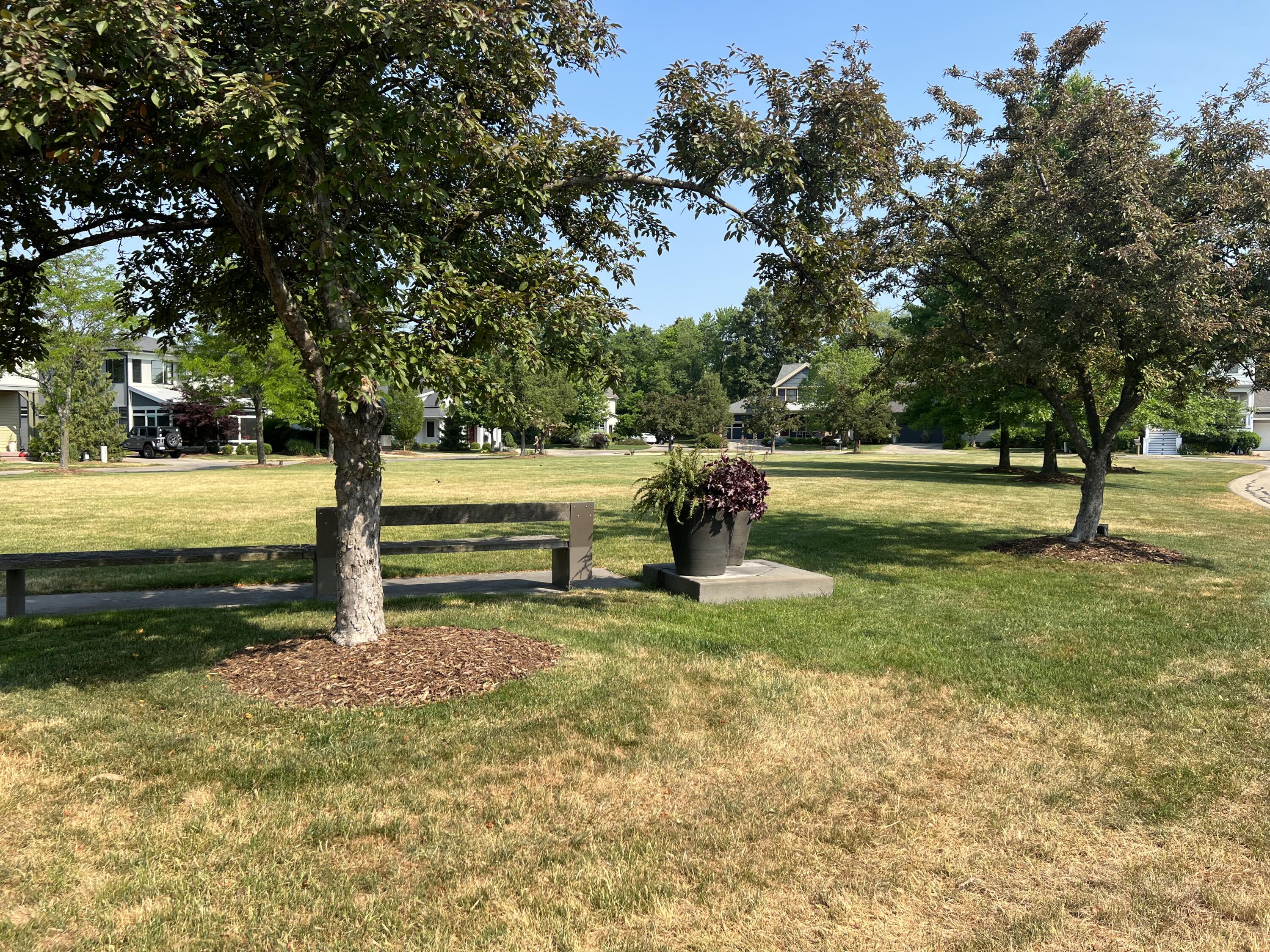 2082 Celadon Drive NE