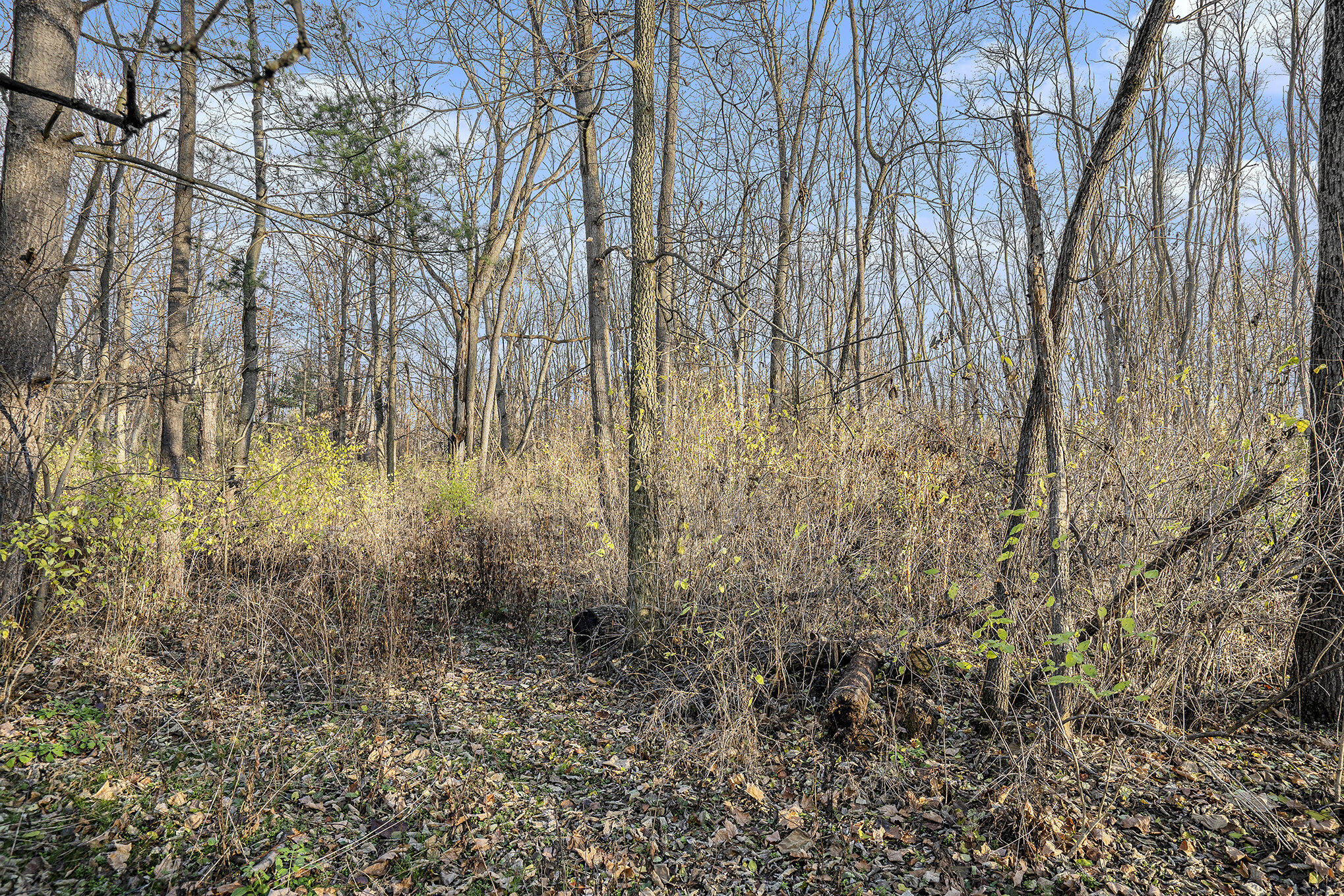 164 Gardner Avenue N