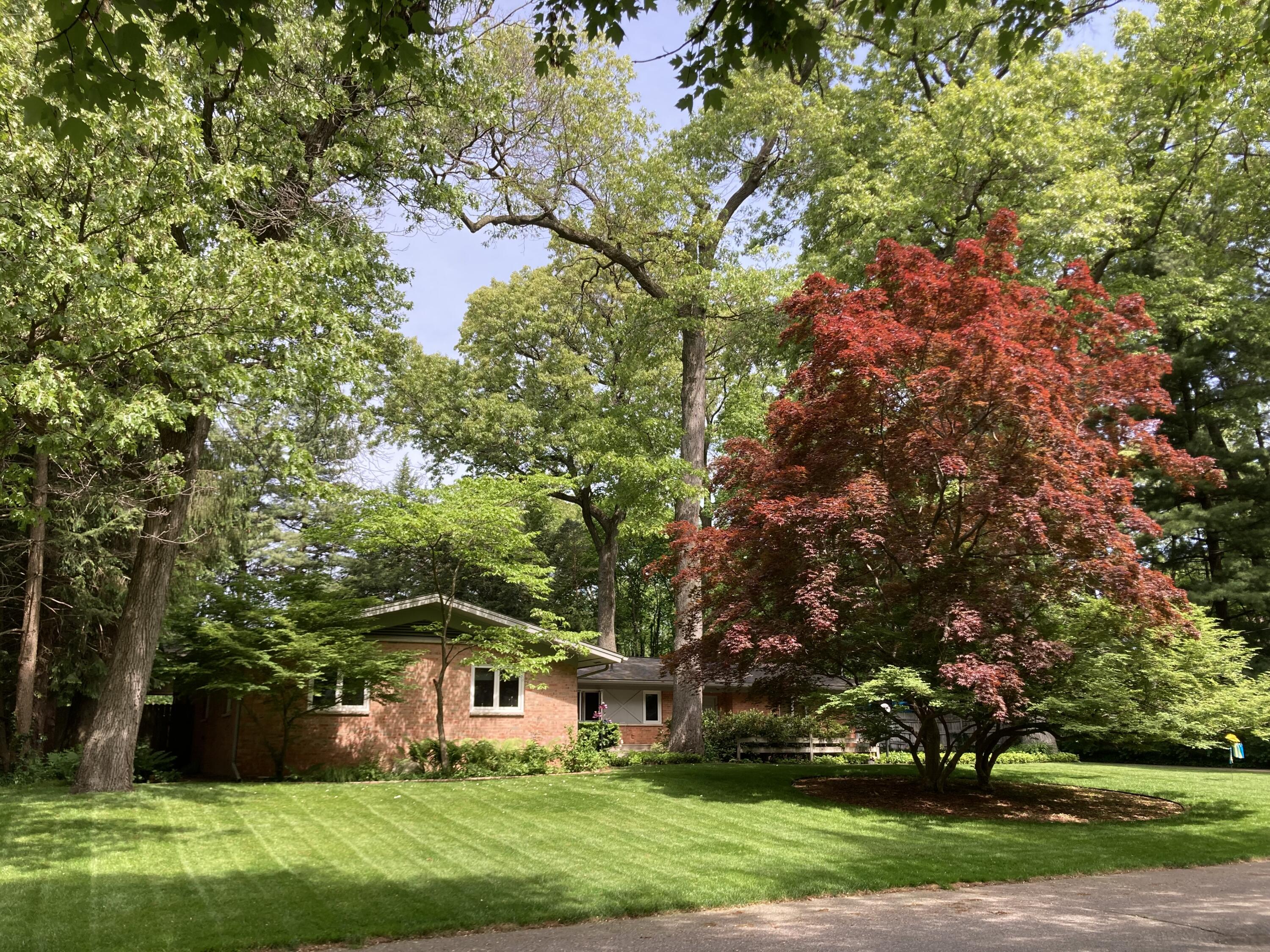 6748 Isabelle Street