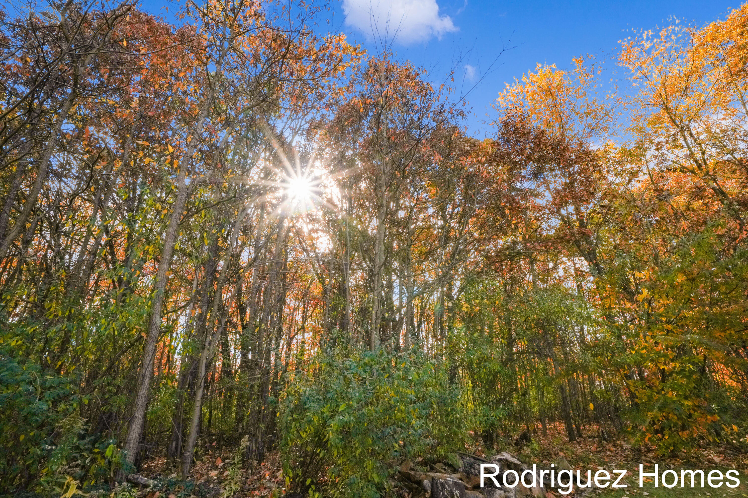 12322 Holmden Drive NE