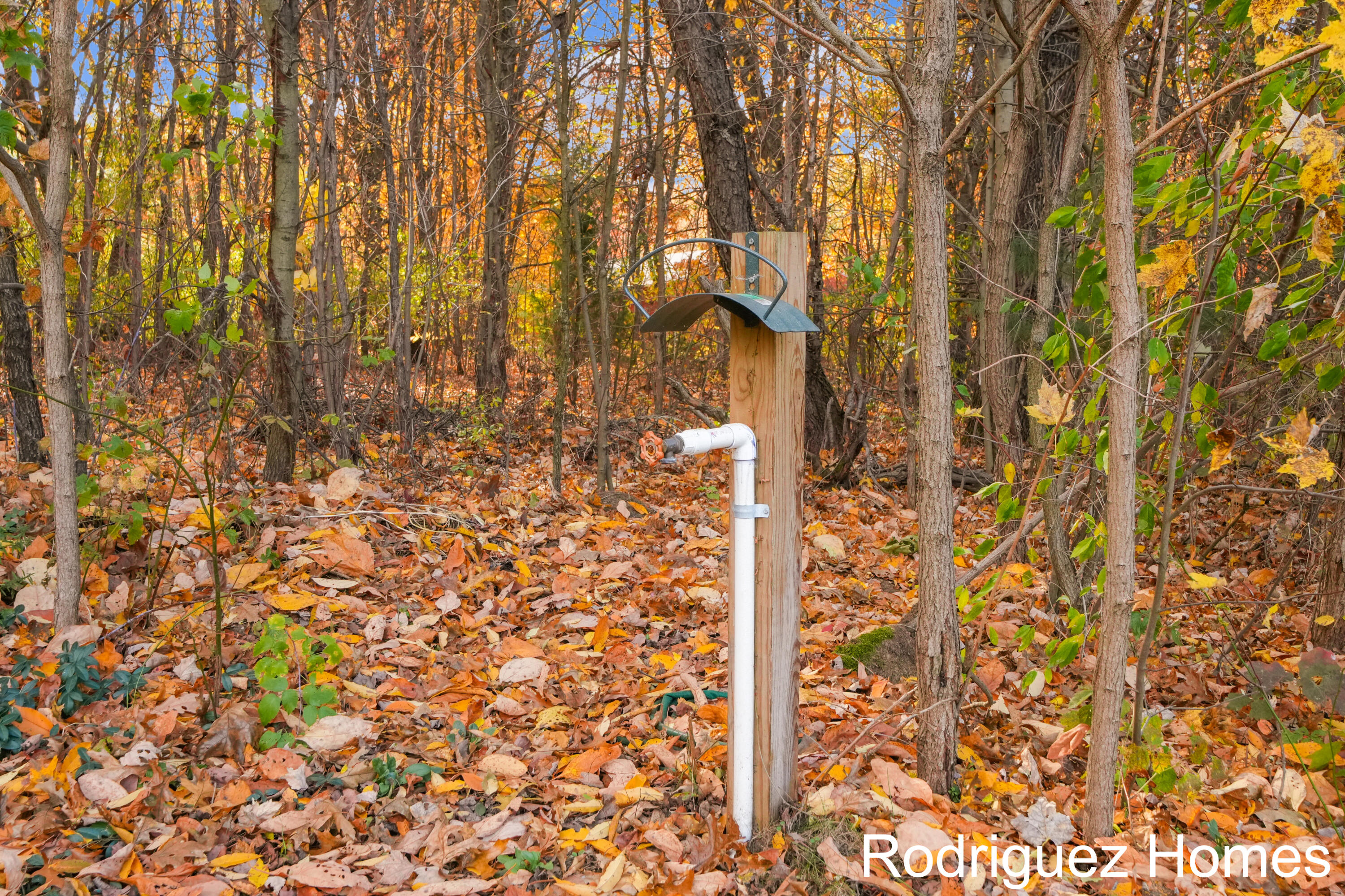 12322 Holmden Drive NE