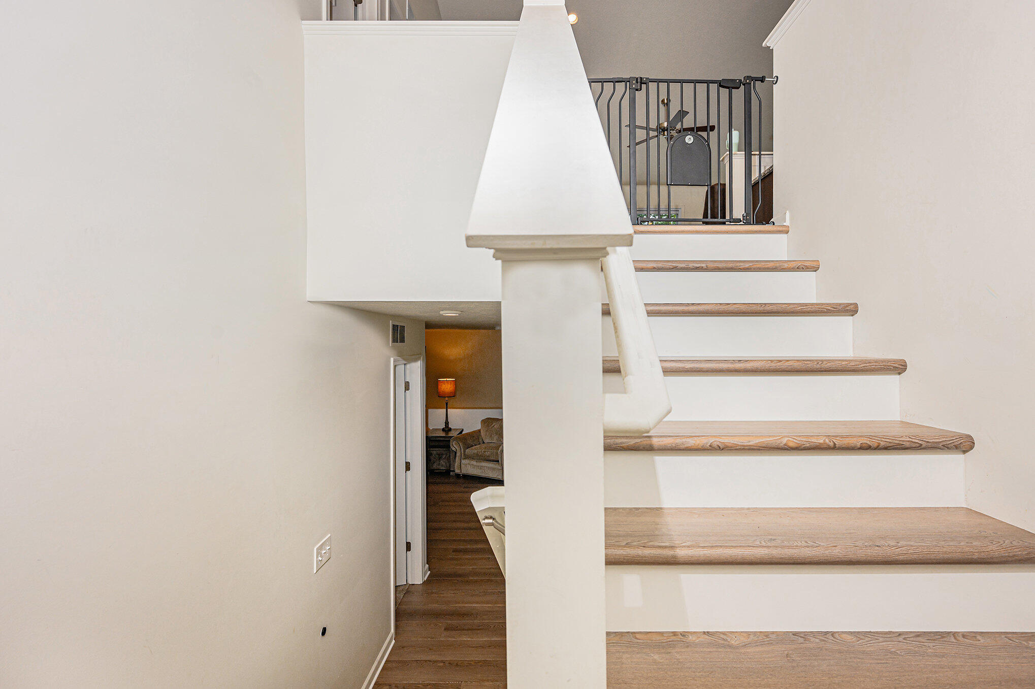 58642 Blue Stem Circle