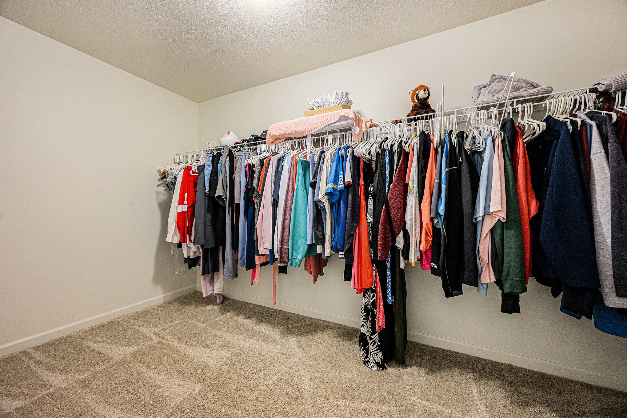 58642 Blue Stem Circle