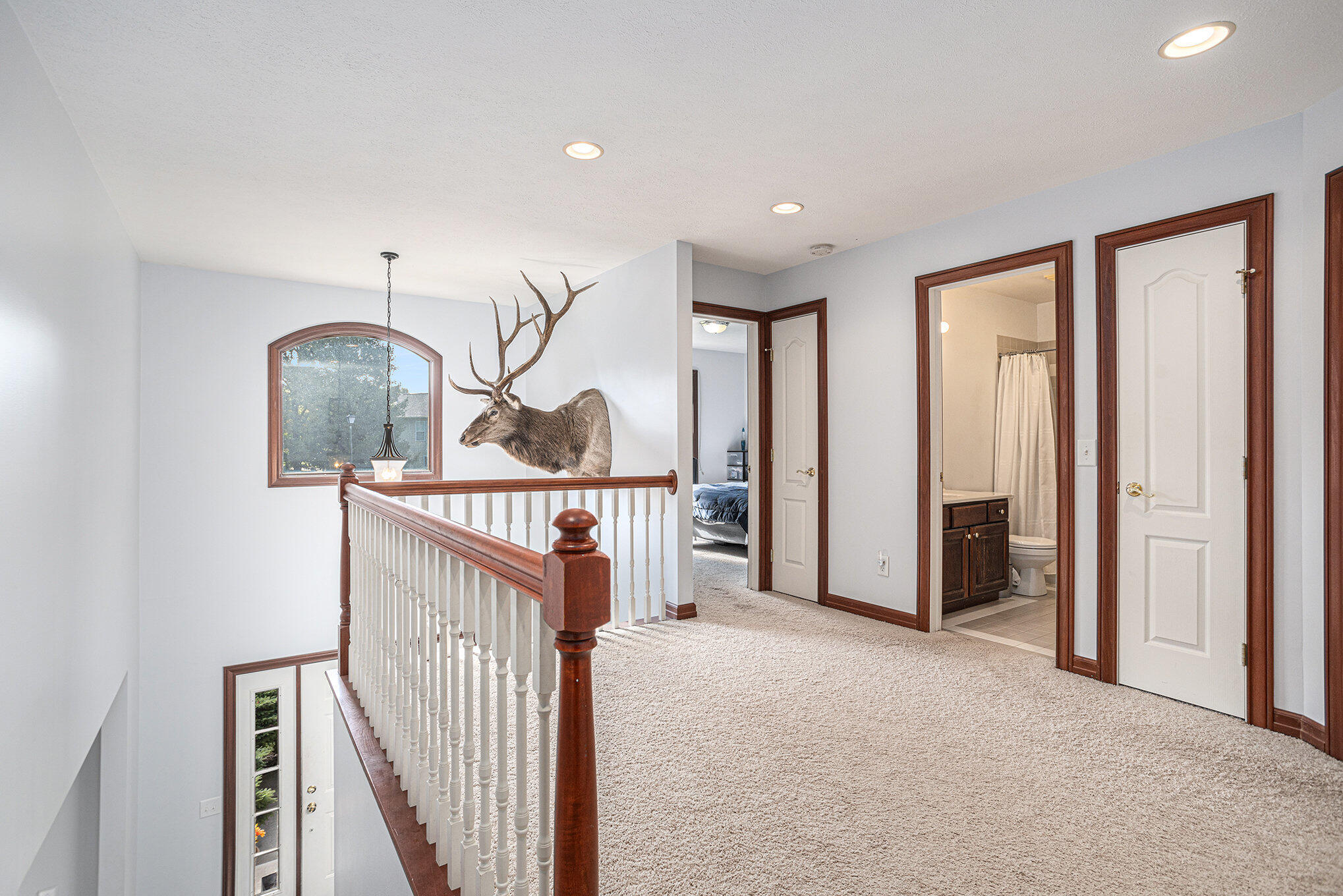 9744 Chambray Street