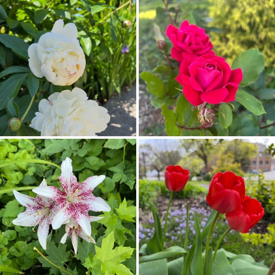 1228 Spring Avenue NE