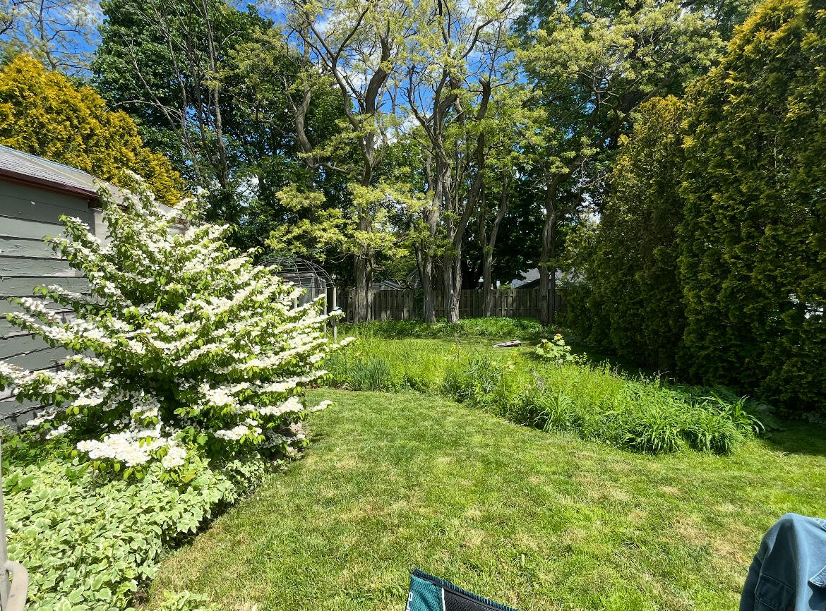 1228 Spring Avenue NE