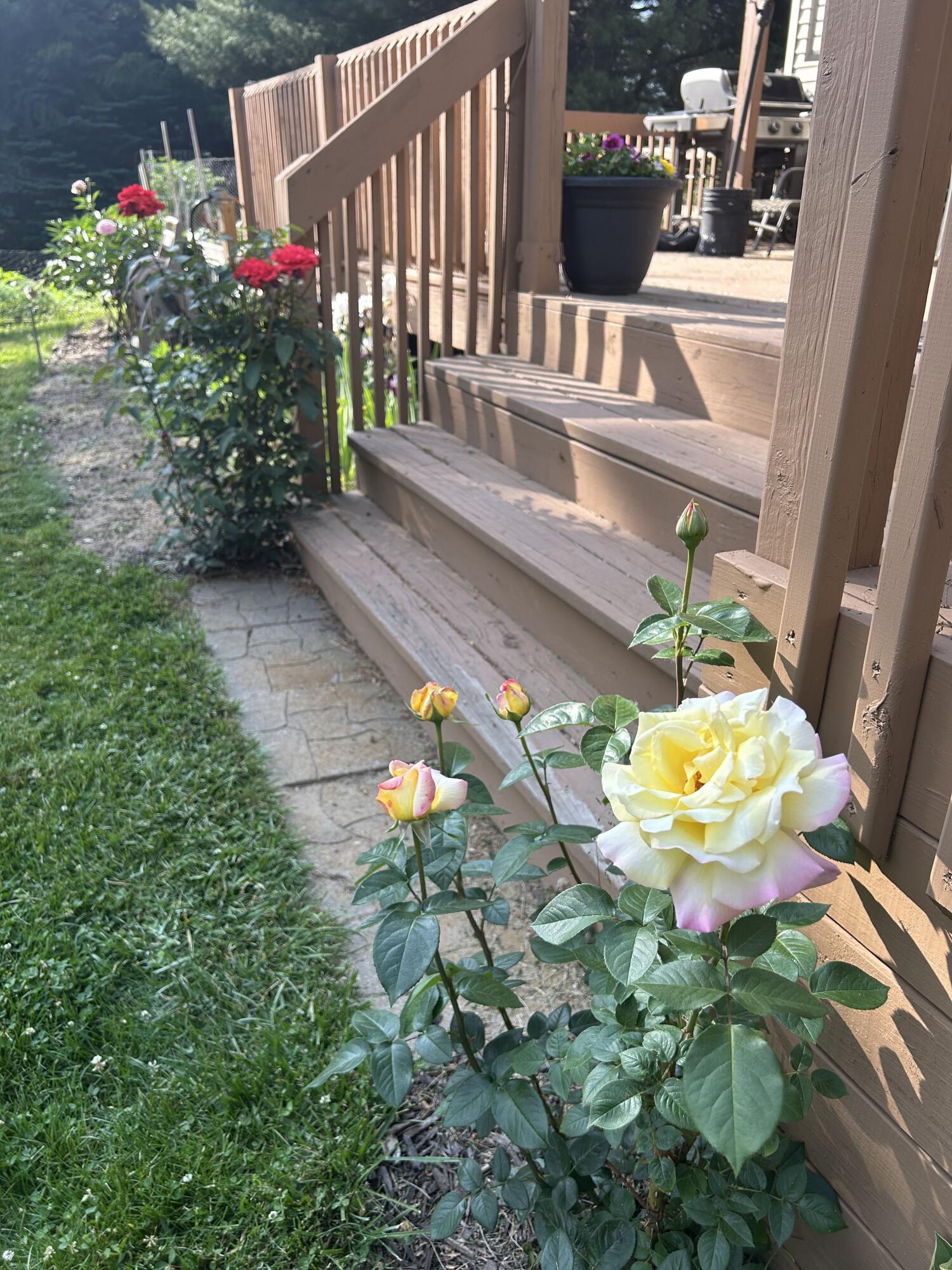 11180 Hart Street NE