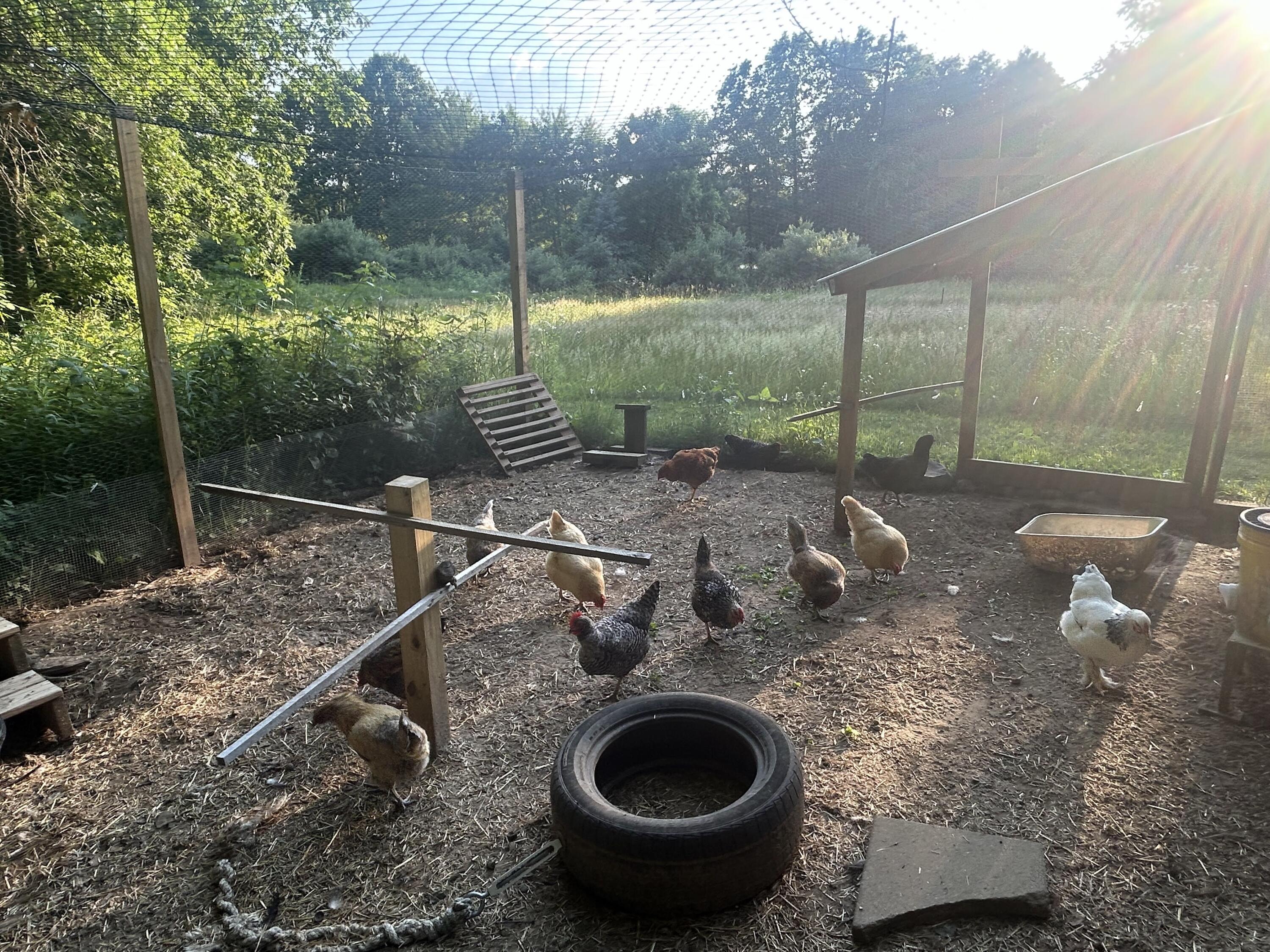 11180 Hart Street NE