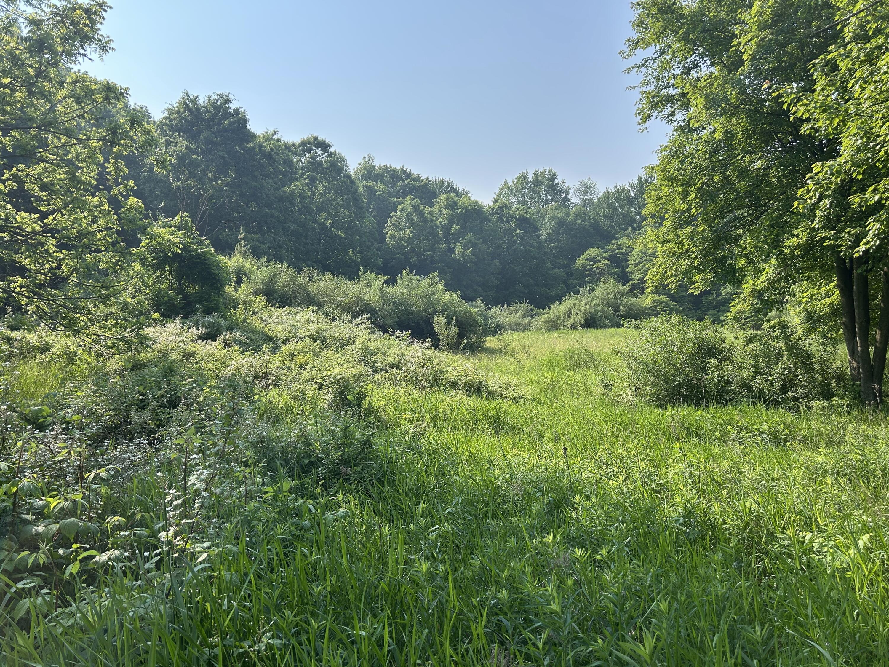 11180 Hart Street NE