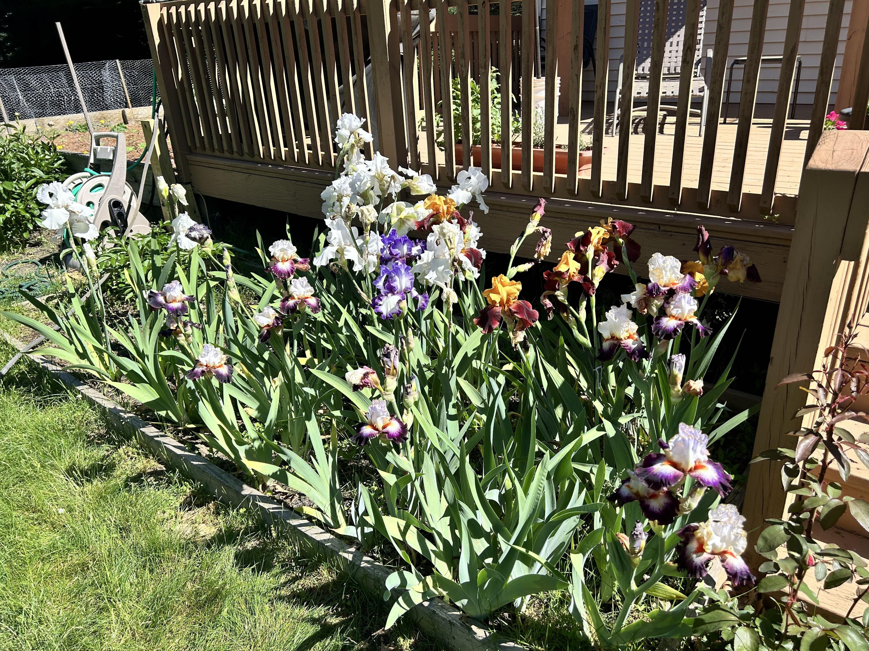 11180 Hart Street NE