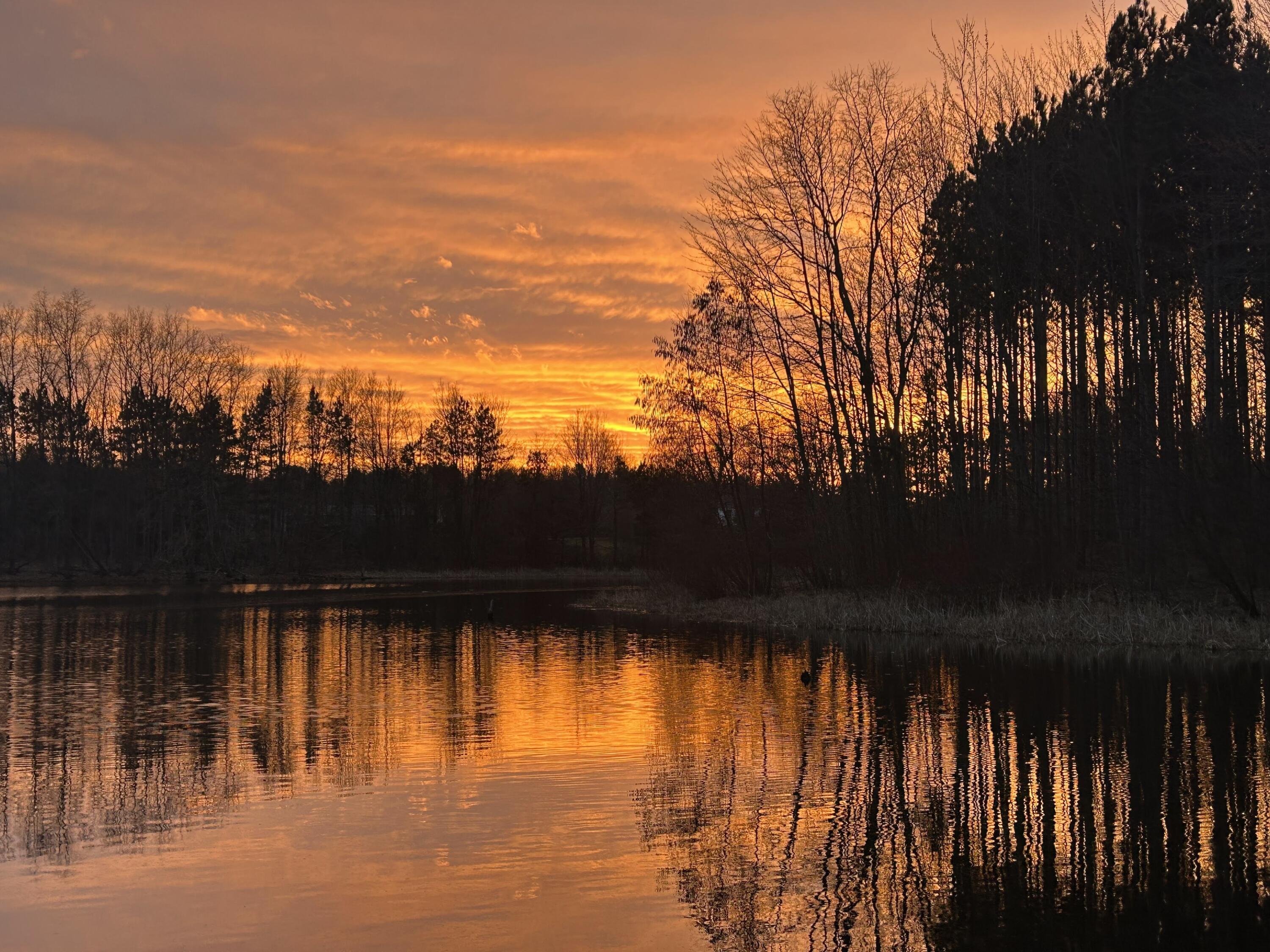 11180 Hart Street NE