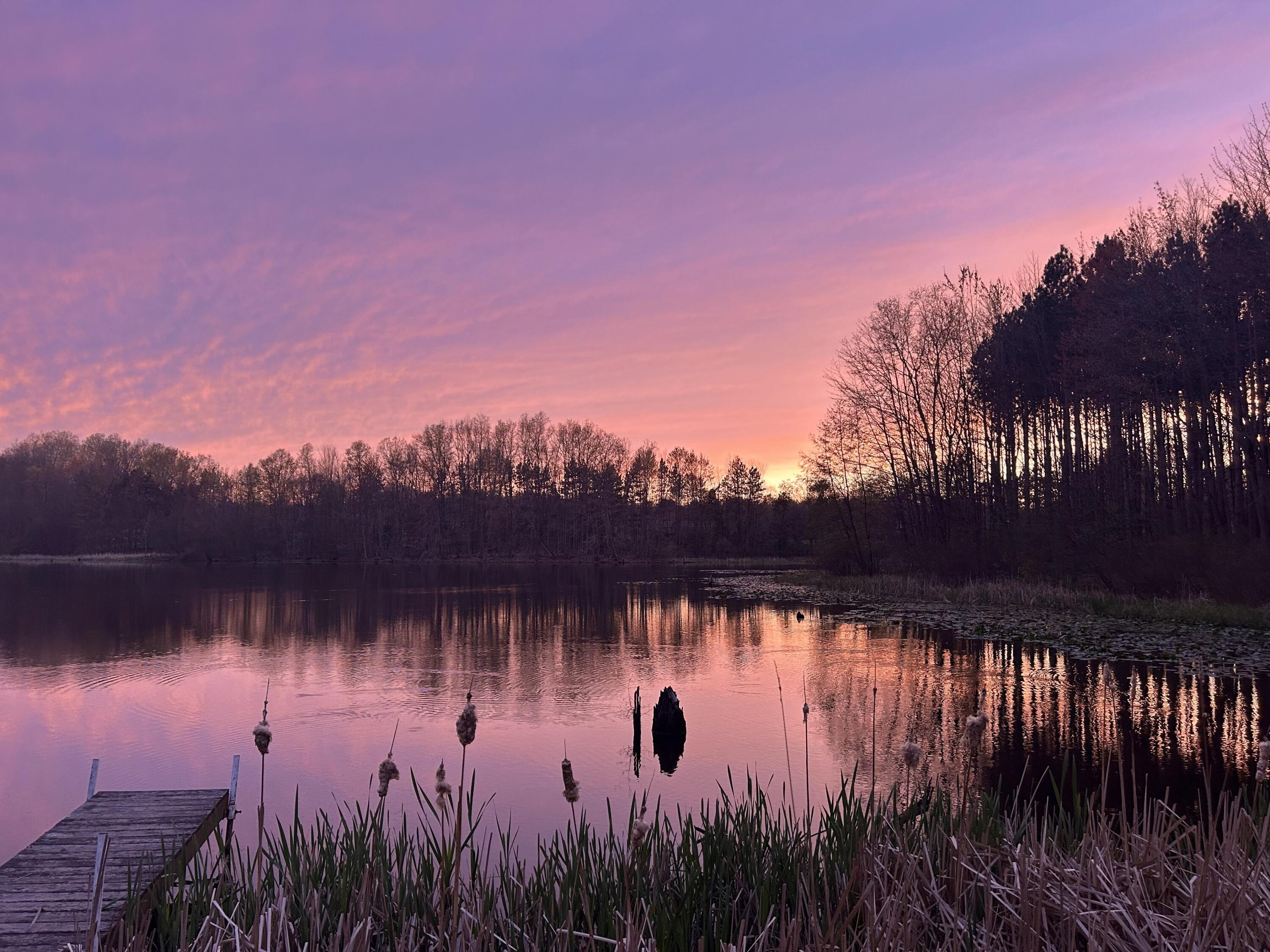 11180 Hart Street NE