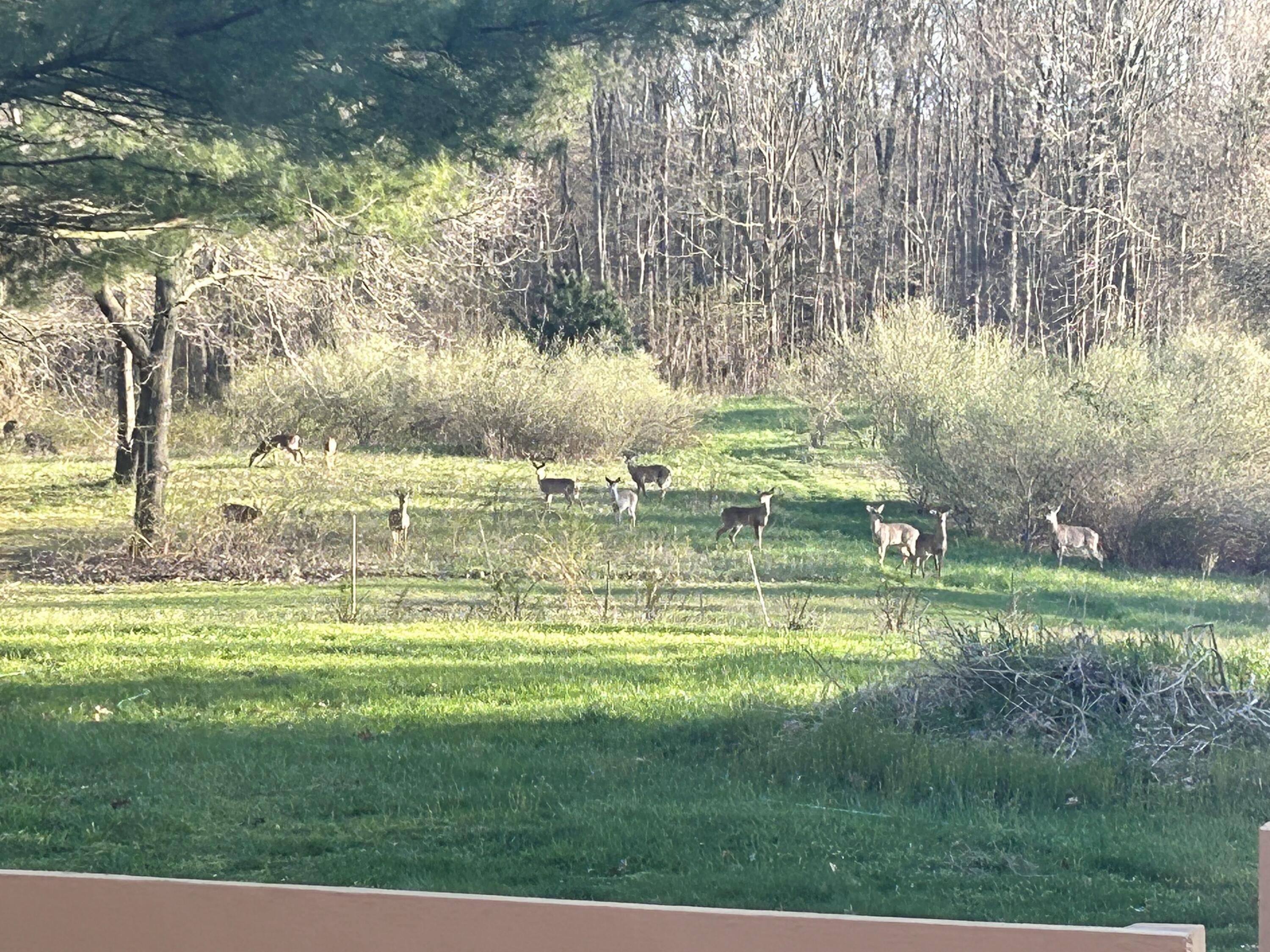 11180 Hart Street NE