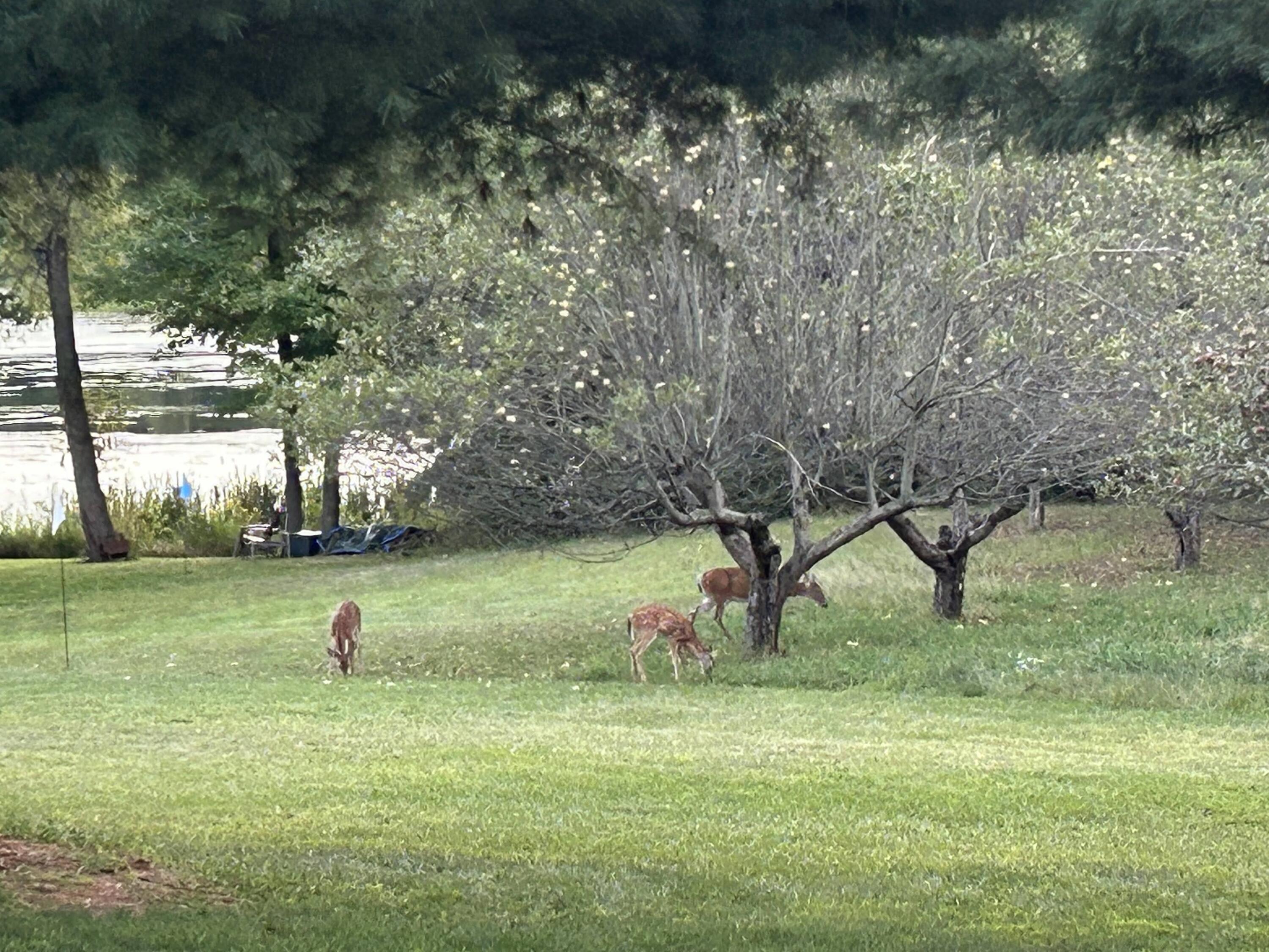 11180 Hart Street NE