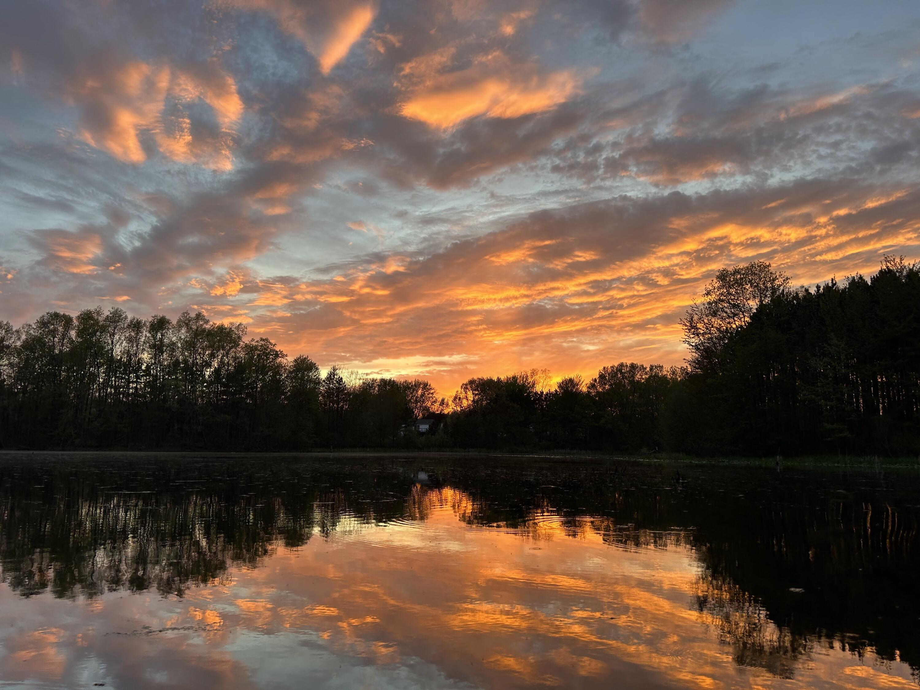 11180 Hart Street NE