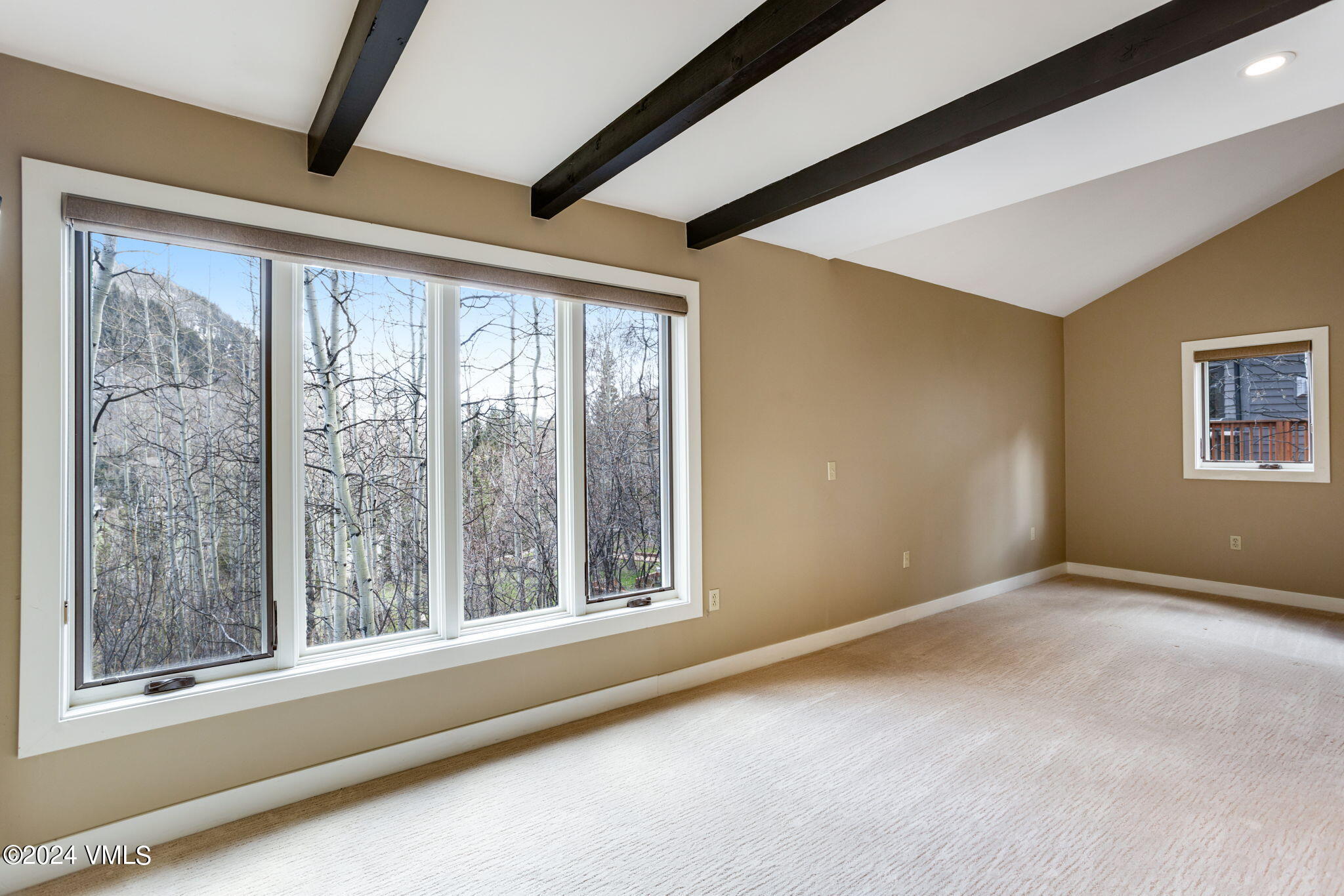 3100 Booth Falls Court