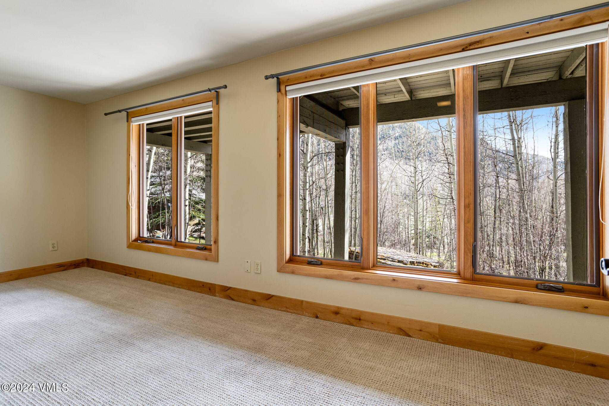 3100 Booth Falls Court
