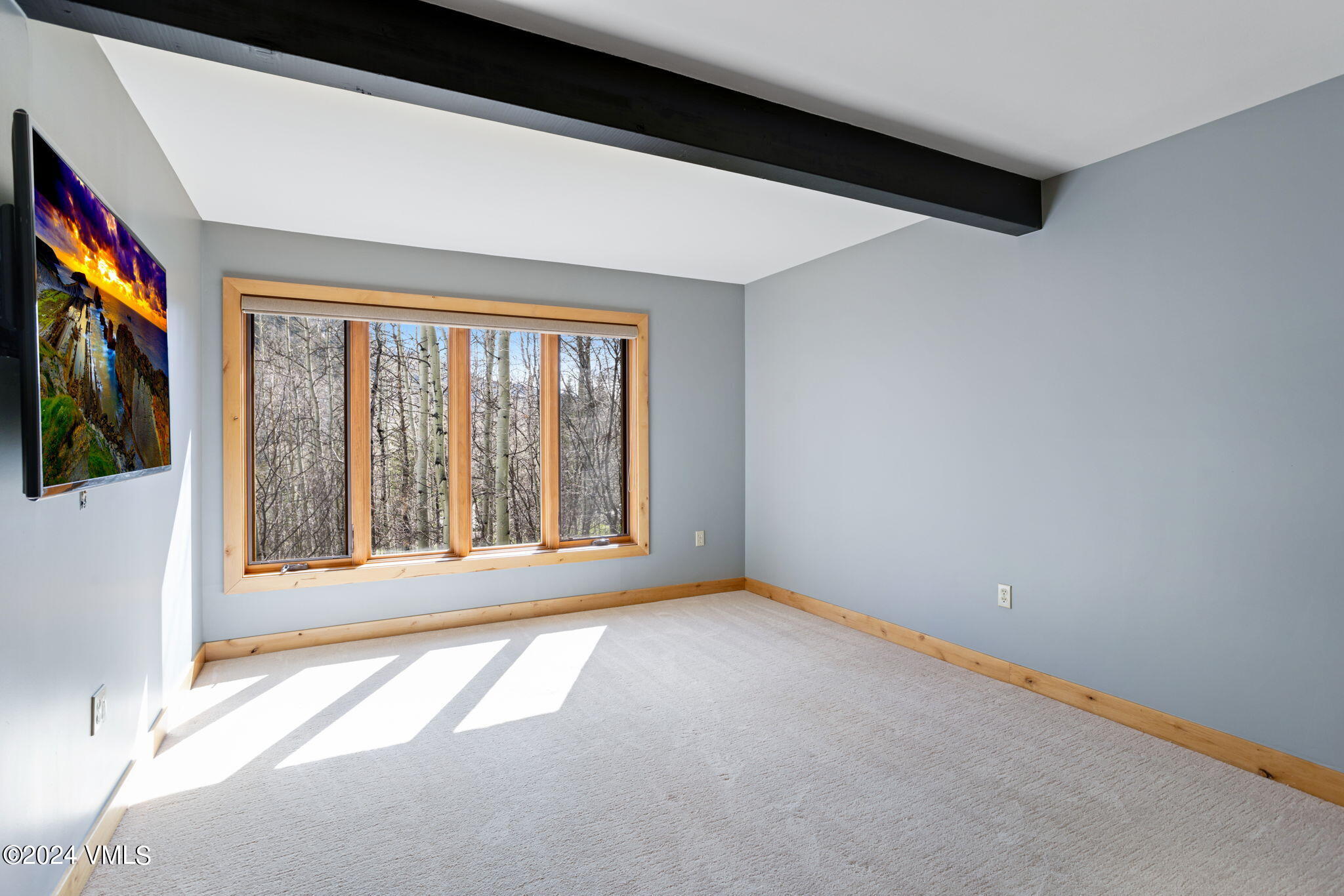 3100 Booth Falls Court
