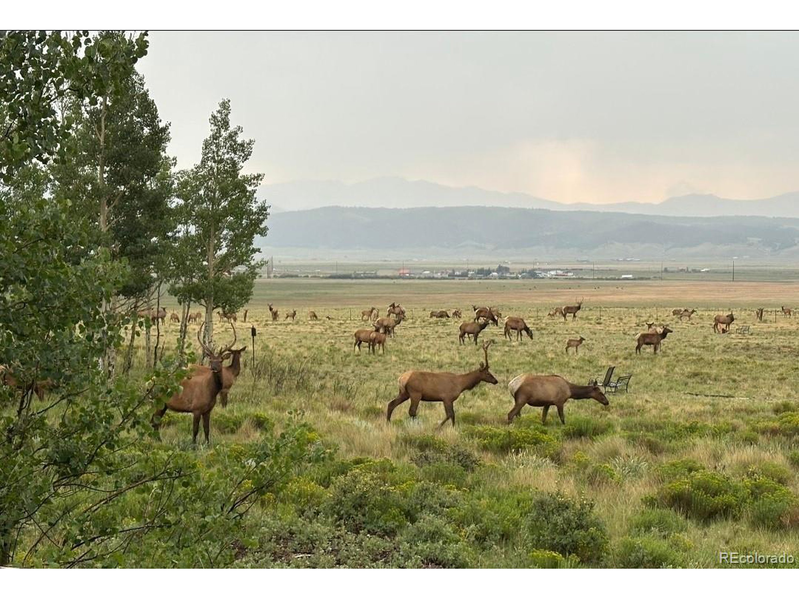 1793 Michigan Hill Rd