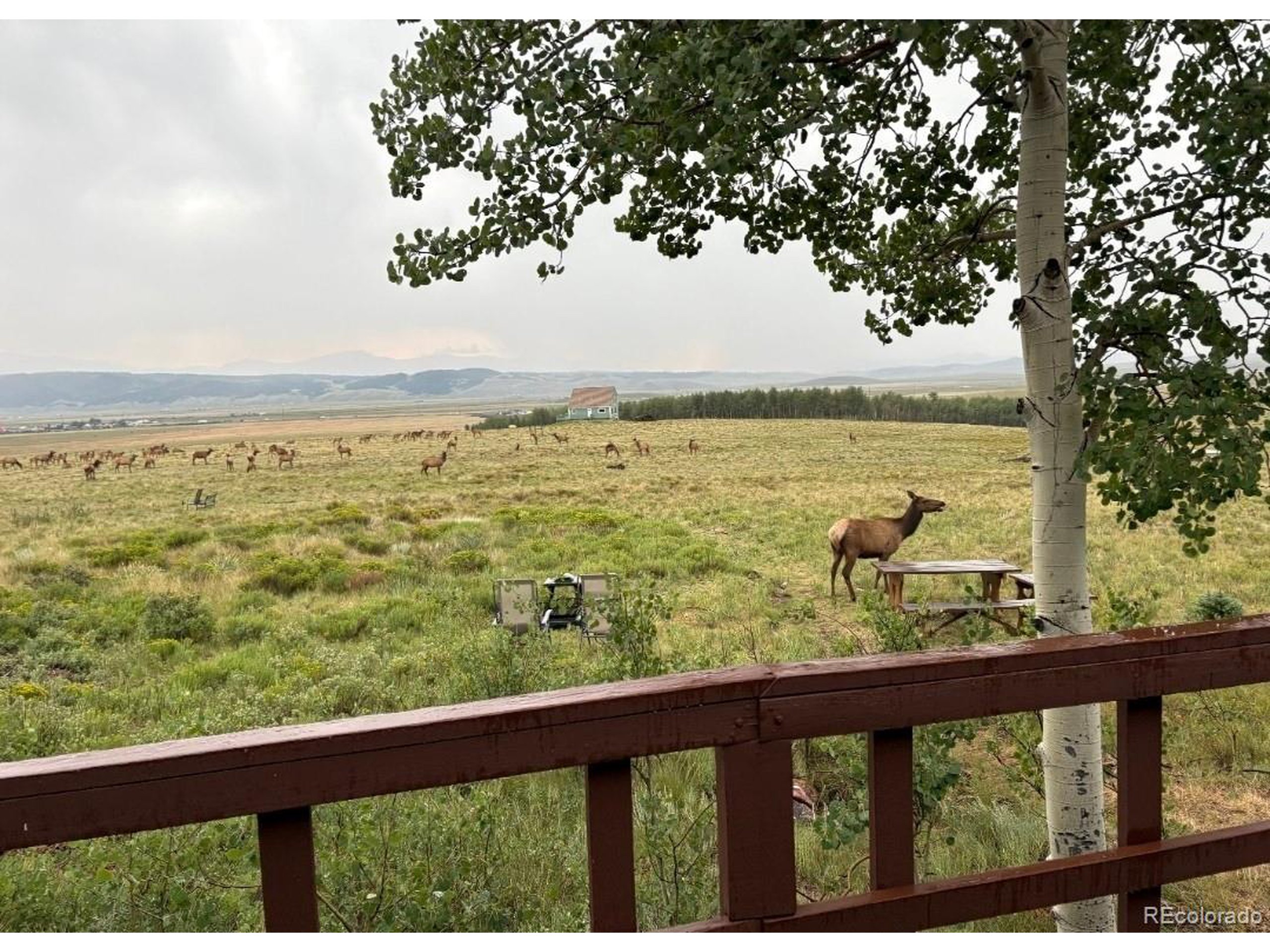 1793 Michigan Hill Rd