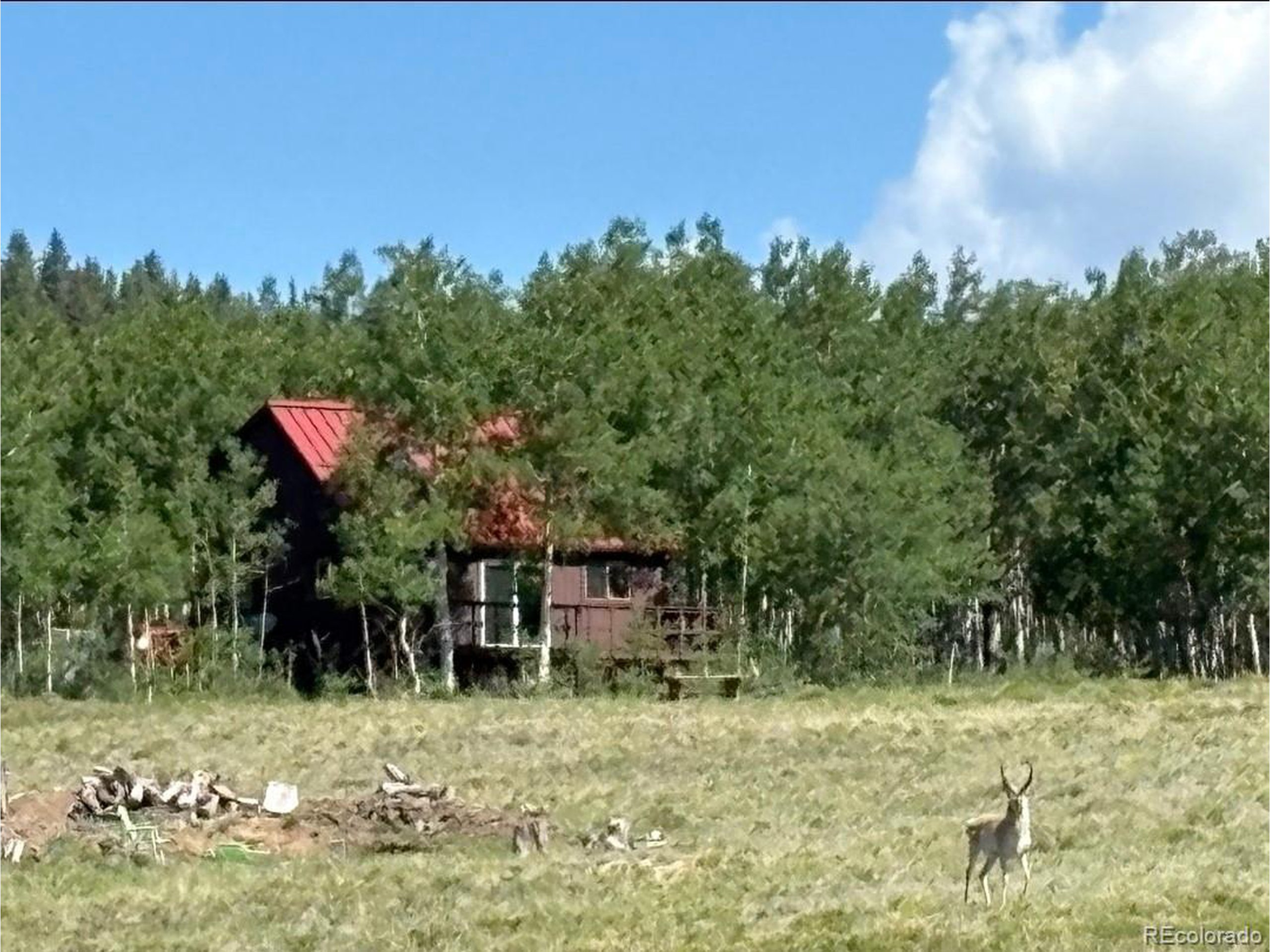 1793 Michigan Hill Rd