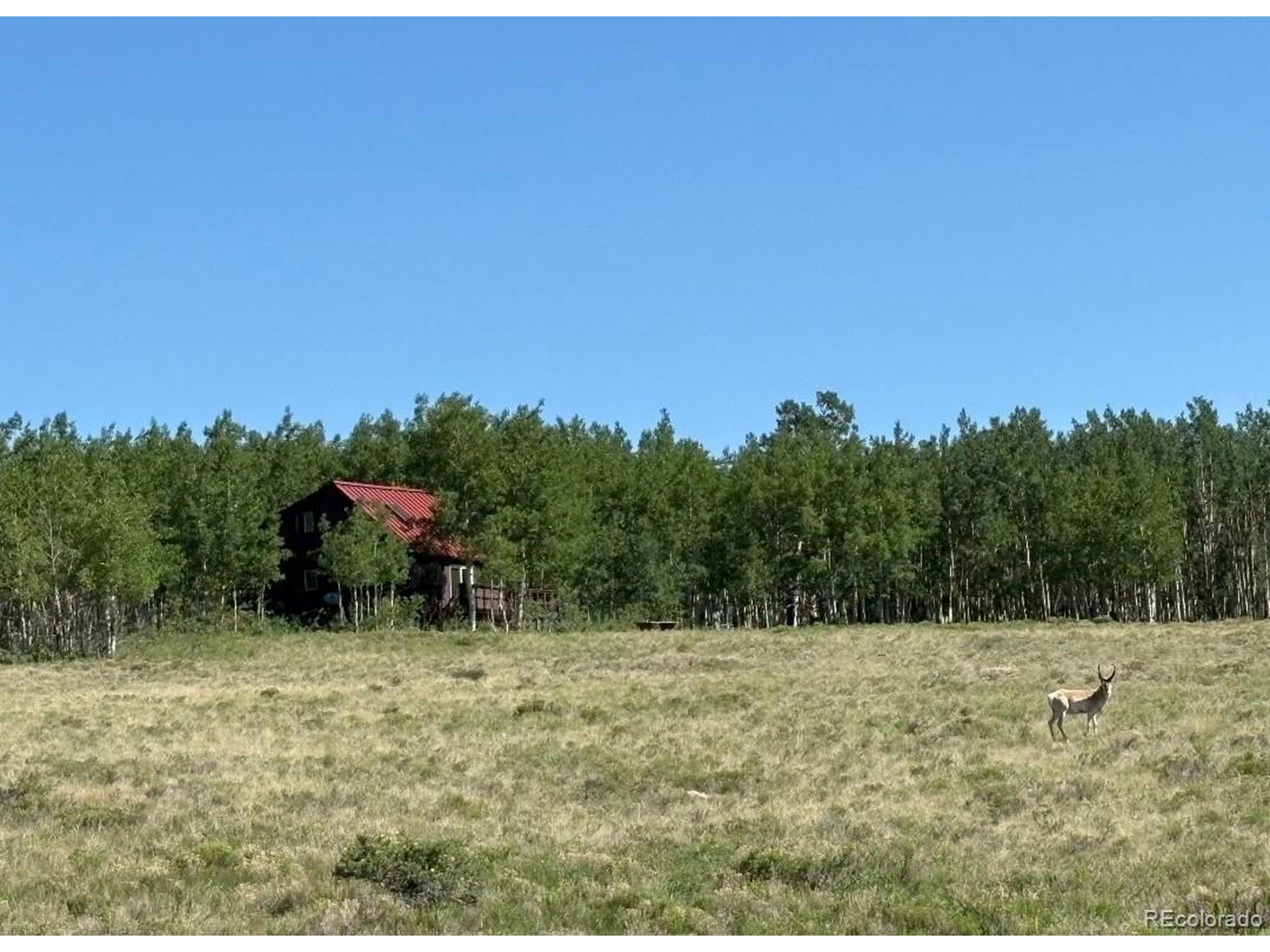 1793 Michigan Hill Rd