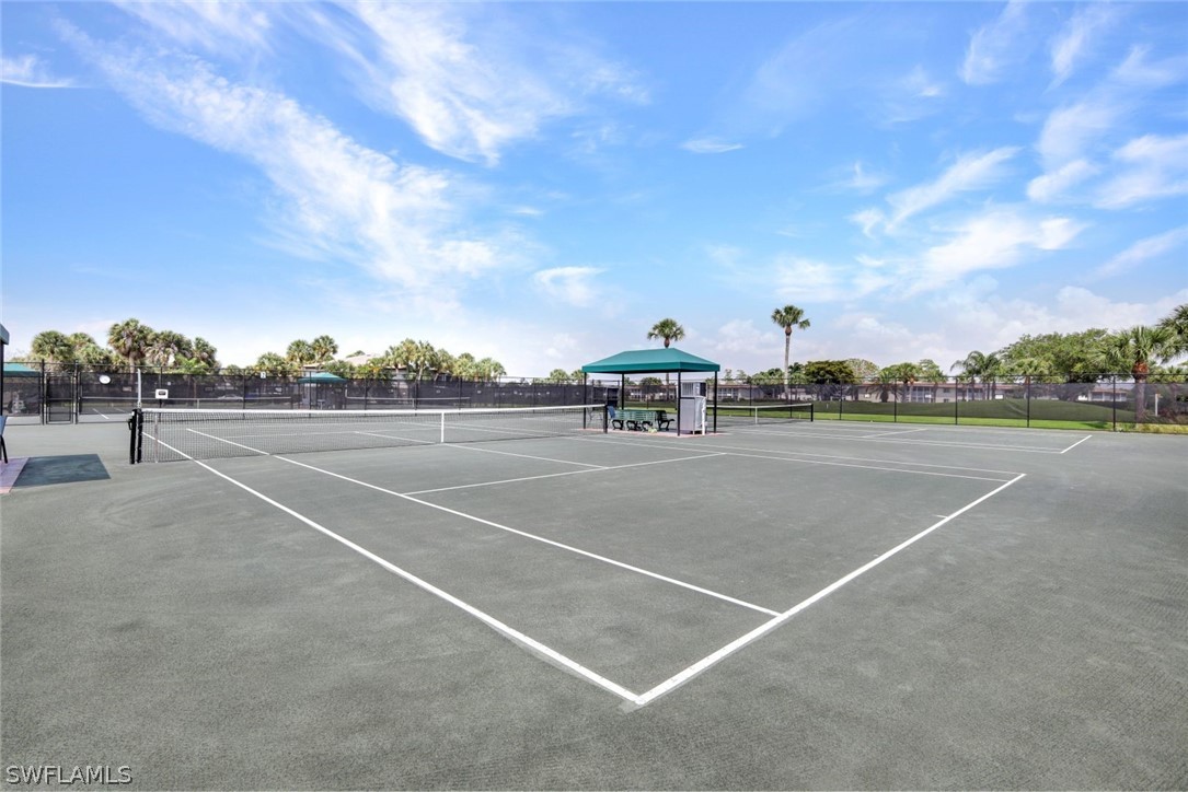 296 Winners CIR 2773