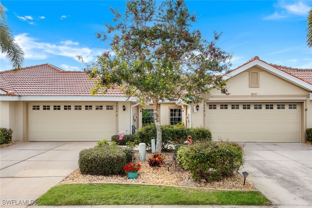 3620 Rue Alec LOOP 3