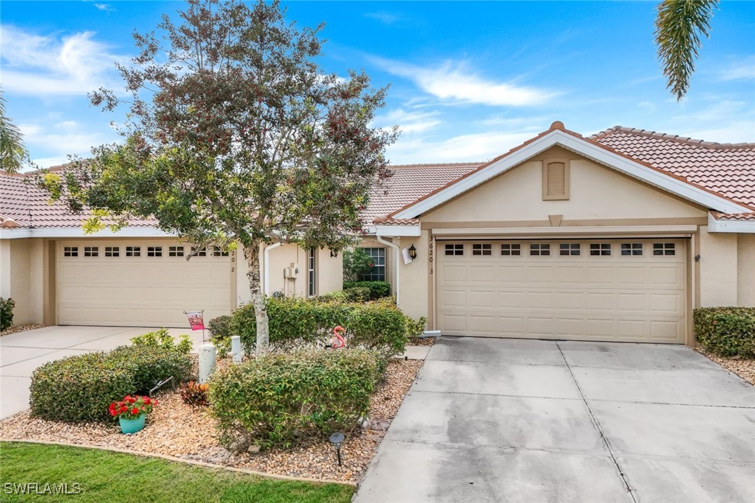 3620 Rue Alec LOOP 3