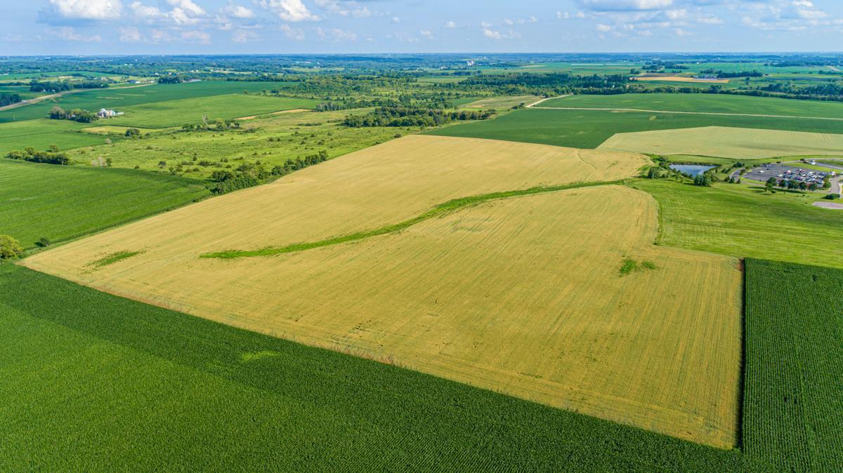 Lots XXX of Divine Mercy