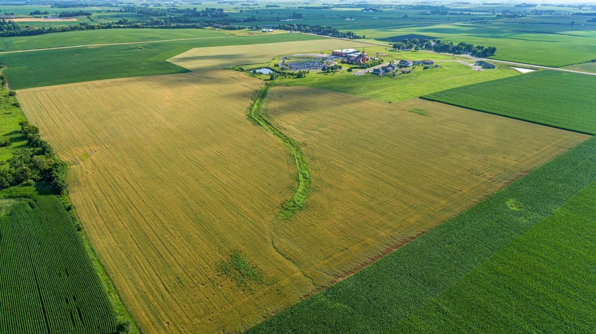 Lots XXX of Divine Mercy