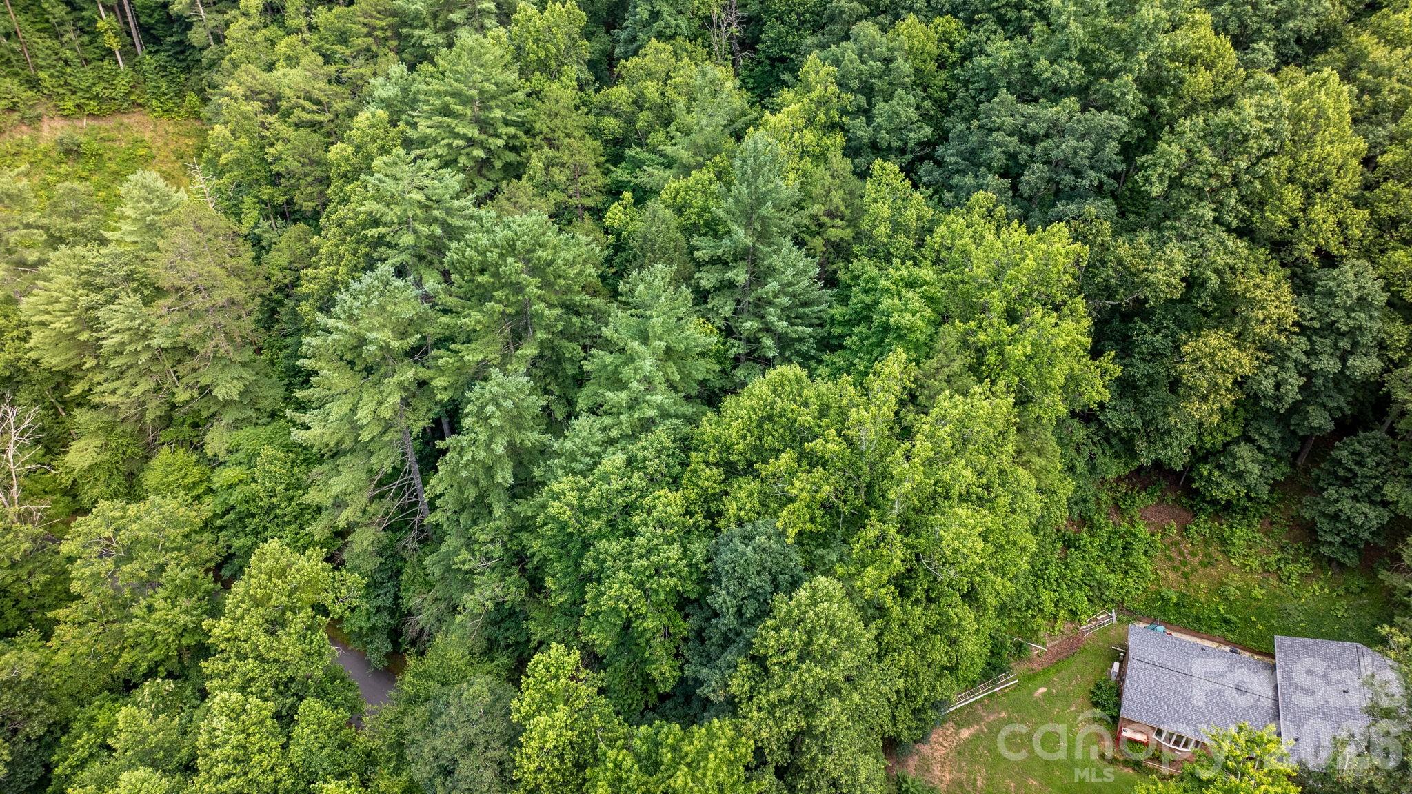 2945 Rockwood Drive