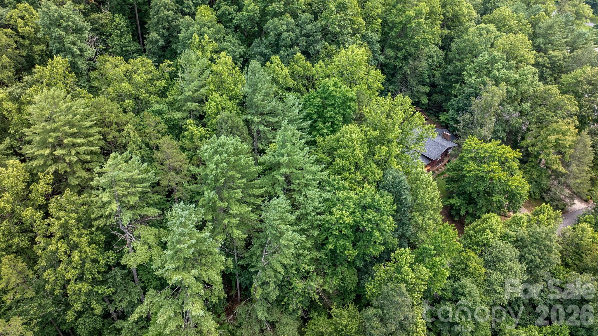 2945 Rockwood Drive